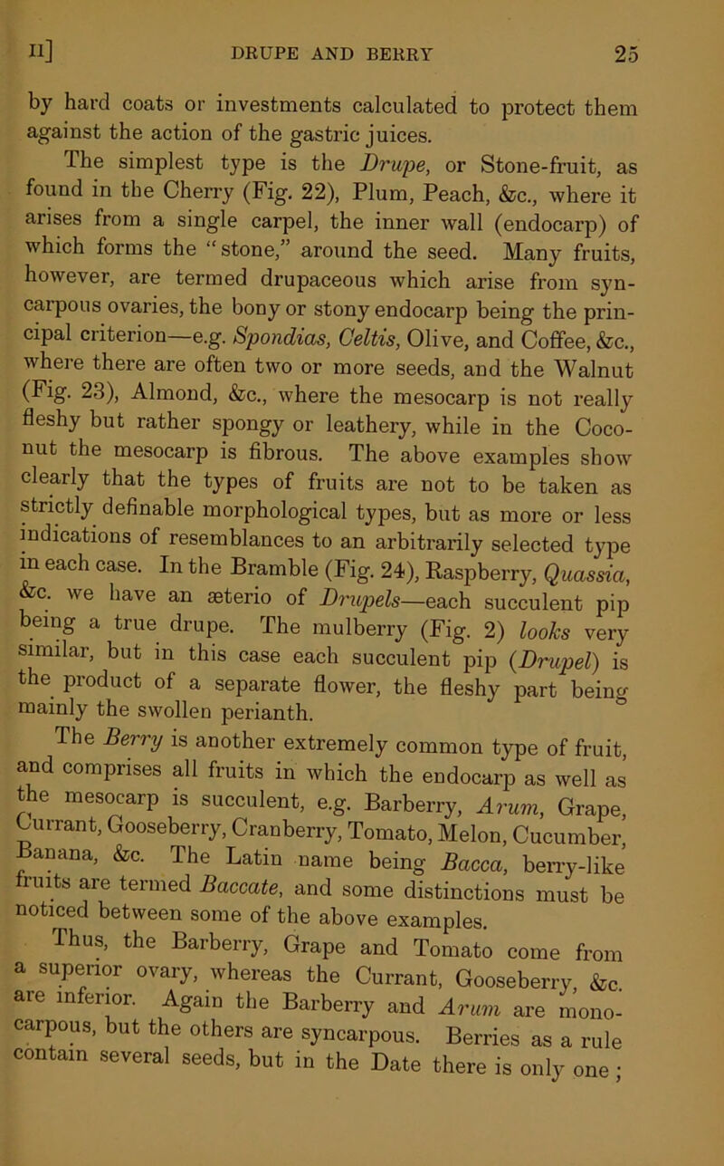 by hard coats or investments calculated to protect them against the action of the gastric juices. The simplest type is the Drupe, or Stone-fruit, as found in the Cherry (Fig. 22), Plum, Peach, &c, where it arises from a single carpel, the inner wall (endocarp) of which forms the ‘‘stone,” around the seed. Many fruits, however, are termed drupaceous which arise from syn- carpous ovaries, the bony or stony endocarp being the prin- cipal criterion—e.g. Spondias, Celtis, Olive, and Coffee, &c., where there are often two or more seeds, and the Walnut (Fig. 23), Almond, &c., where the mesocarp is not really fleshy but rather spongy or leathery, while in the Coco- nut the mesocarp is fibrous. The above examples show clearly that the types of fruits are not to be taken as strictly definable morphological types, but as more or less indications of resemblances to an arbitrarily selected type in each case. In the Bramble (Fig. 24), Raspberry, Quassia, &c. we have an seterio of Drupels—each succulent pip being a true drupe. The mulberry (Fig. 2) looks very- similar, but in this case each succulent pip (Drupel) is the product of a separate flower, the fleshy part being mainly the swollen perianth. The Berry is another extremely common type of fruit, and comprises all fruits in which the endocarp as well as the mesocarp is succulent, e.g. Barberry, Arum, Grape, Currant, Gooseberry, Cranberry, Tomato, Melon, Cucumber, anana, &c. The Latin name being Bacca, berry-like fruits are termed Baccate, and some distinctions must be noticed between some of the above examples. Thus, the Barberry, Grape and Tomato come from a superior ovary, whereas the Currant, Gooseberry &c are inferior. Again the Barberry and Arum are mono- carpous, but the others are syncarpous. Berries as a rule contain several seeds, but in the Date there is only one ;