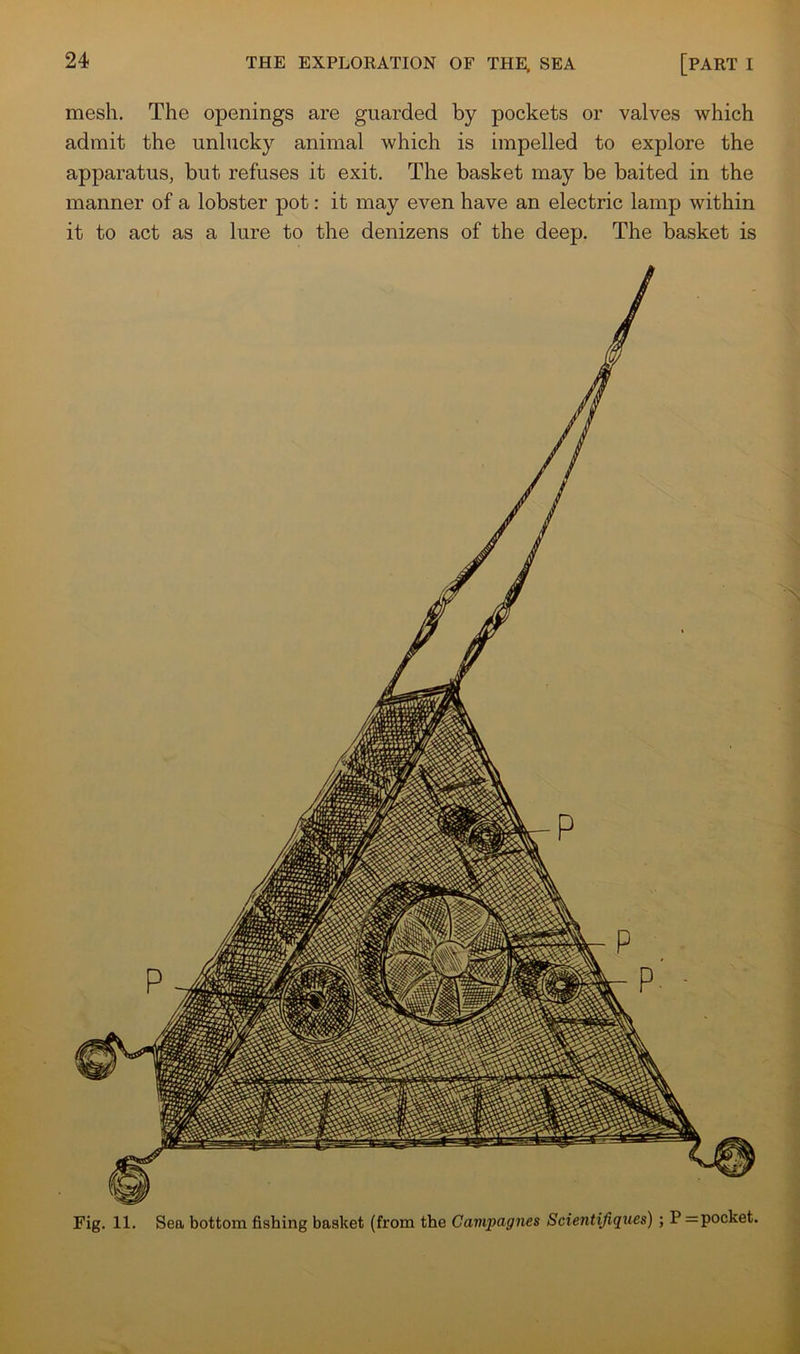 mesh. The openings are guarded by pockets or valves which admit the unlucky animal which is impelled to explore the apparatus, but refuses it exit. The basket may be baited in the manner of a lobster pot: it may even have an electric lamp within it to act as a lure to the denizens of the deep. The basket is