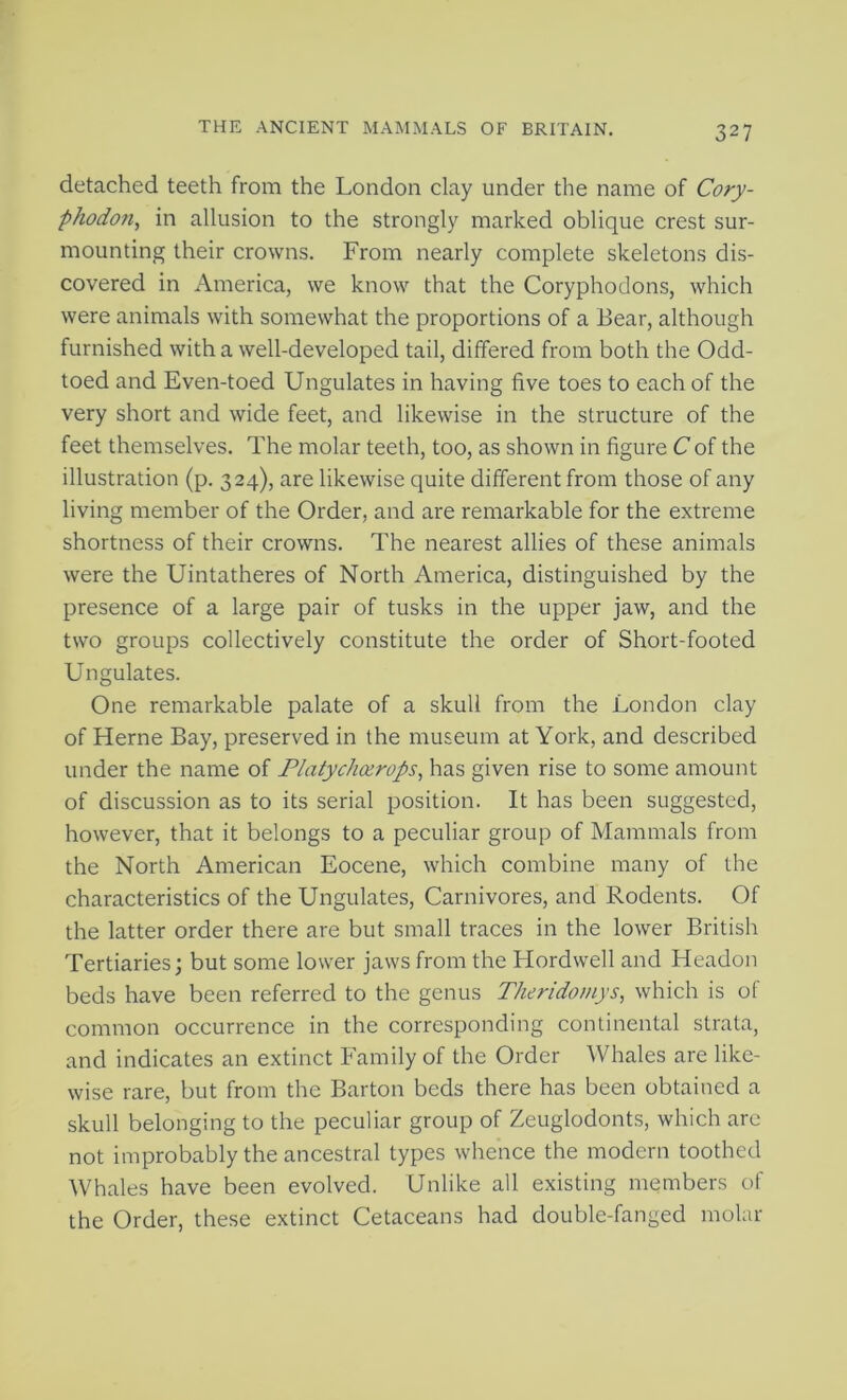 detached teeth from the London clay under the name of Cory- phodon, in allusion to the strongly marked oblique crest sur- mounting their crowns. From nearly complete skeletons dis- covered in America, we know that the Coryphodons, which were animals with somewhat the proportions of a Bear, although furnished with a well-developed tail, differed from both the Odd- toed and Even-toed Ungulates in having five toes to each of the very short and wide feet, and likewise in the structure of the feet themselves. The molar teeth, too, as shown in figure C of the illustration (p. 324), are likewise quite different from those of any living member of the Order, and are remarkable for the extreme shortness of their crowns. The nearest allies of these animals were the Uintatheres of North America, distinguished by the presence of a large pair of tusks in the upper jaw, and the two groups collectively constitute the order of Short-footed Ungulates. One remarkable palate of a skull from the London clay of Herne Bay, preserved in the museum at York, and described under the name of Platychcerops, has given rise to some amount of discussion as to its serial position. It has been suggested, however, that it belongs to a peculiar group of Mammals from the North American Eocene, which combine many of the characteristics of the Ungulates, Carnivores, and Rodents. Of the latter order there are but small traces in the lower British Tertiaries; but some lower jaws from the Hordwell and Headon beds have been referred to the genus Theridomys, which is of common occurrence in the corresponding continental strata, and indicates an extinct Family of the Order Whales are like- wise rare, but from the Barton beds there has been obtained a skull belonging to the peculiar group of Zeuglodonts, which are not improbably the ancestral types whence the modern toothed Whales have been evolved. Unlike all existing members of the Order, these extinct Cetaceans had double-fanged molar