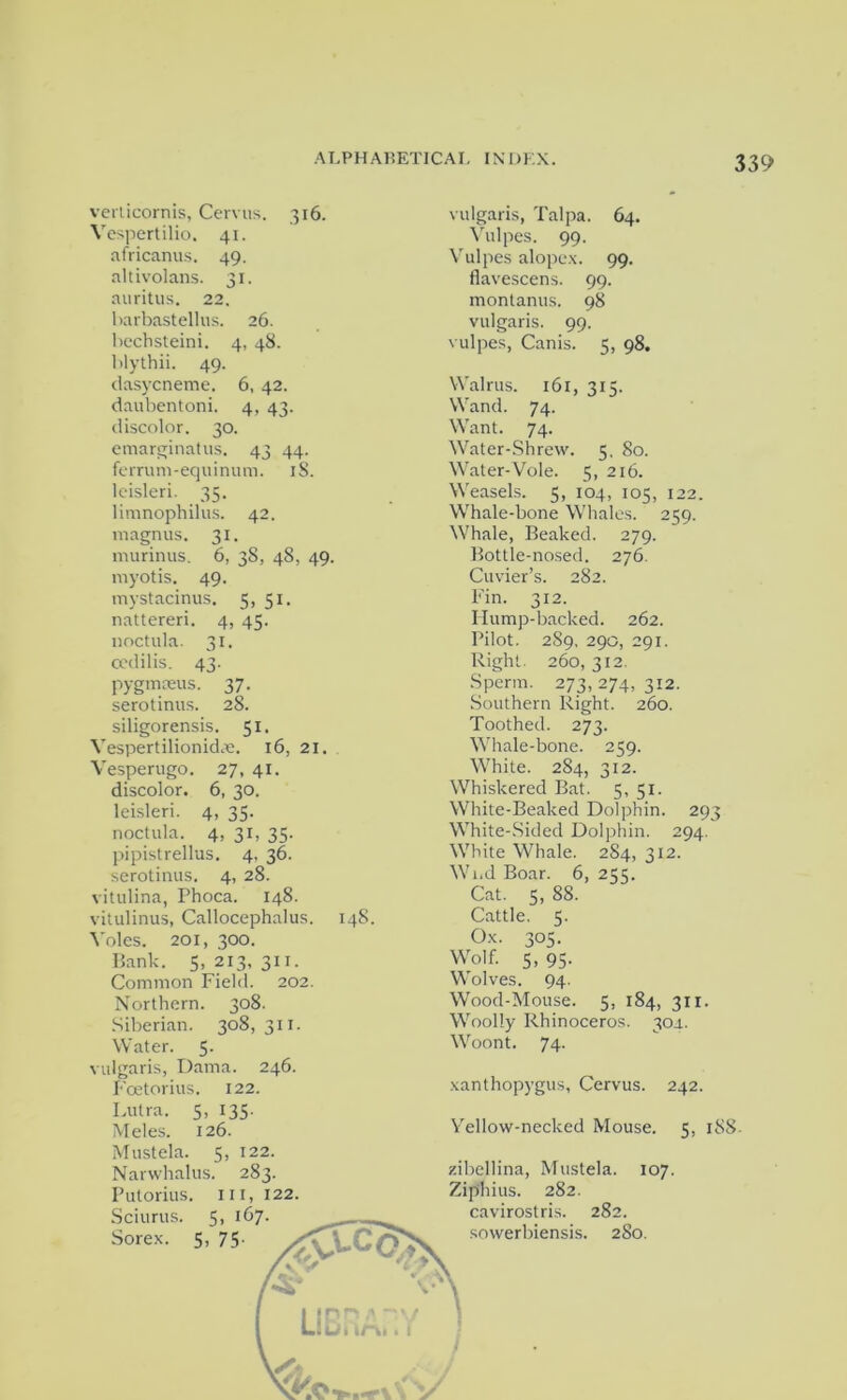 verticornis, Cervus. 316. Vespertilio. 41. africanus. 49. altivolans. 31. auritus. 22. harbastellus. 26. hechsteini. 4, 48. blythii. 49. dasycneme. 6, 42. daubentoni. 4, 43. discolor. 30. emarginatus, 43 44. ferrum-equinum. iS. leisleri. 35. limnophilus. 42. magnus. 31. murinus. 6, 38, 48, 49. rayotis. 49. mystacinus. 5, 51. nattered. 4, 45. noctula. 31. ocdilis. 43. pygmceus. 37. serotinus. 28. siligorensis. 51. Vespertilionida:. 16, 21. Vesperugo. 27, 41. discolor. 6, 30. leisleri. 4, 35. noctula. 4, 31, 35. pipistrellus. 4, 36. serotinus. 4, 28. vitulina, Phoca. 148. vitulinus, Callocephalus. 148. Voles. 201, 300. Bank. 5,213,311. Common Field. 202. Northern. 308. Siberian. 308,311. Water. 5. vulgaris, Dama. 246. Foetorius. 122. Lutra. 5, 135. Meles. 126. Mustela. 5, 122. Narwhalus. 283. Putorius. nr, 122. Sciurus. 5, 167. Sorex. 5, 75. vulgaris, Talpa. 64. Vulpes. 99. Vulpes alopex. 99. flavescens. 99. montanus. 98 vulgaris. 99. vulpes, Canis. 5, 98. Walrus. 161, 31 s. Wand. 74. Want. 74. Water-Shrew. 5. 80. Water-Vole. 5, 216. Weasels. 5, 104, 105, 122. Whale-bone Whales. 259. Whale, Beaked. 279. Bottle-nosed. 276. Cuvier’s. 282. Fin. 312. Hump-backed. 262. Pilot. 289, 290, 291. Right. 260, 312. Sperm. 273,274,312. Southern Right. 260. Toothed. 273. Whale-bone. 259. White. 284, 312. Whiskered Bat. 5, 51. White-Beaked Dolphin. 293 White-Sided Dolphin. 294. White Whale. 2S4, 312. Wi.d Boar. 6, 255. Cat. 5, 88. Cattle. 5. Ox. 305. Wolf. 5, 95. Wolves. 94. Wood-Mouse. 5, 184, 311. Woolly Rhinoceros. 30a. Woont. 74. xanthopygus, Cervus. 242. Yellow-necked Mouse. 5, 188 zibellina, Mustela. 107. Ziphius. 282. cavirostris. 282. sowerbiensis. 280.