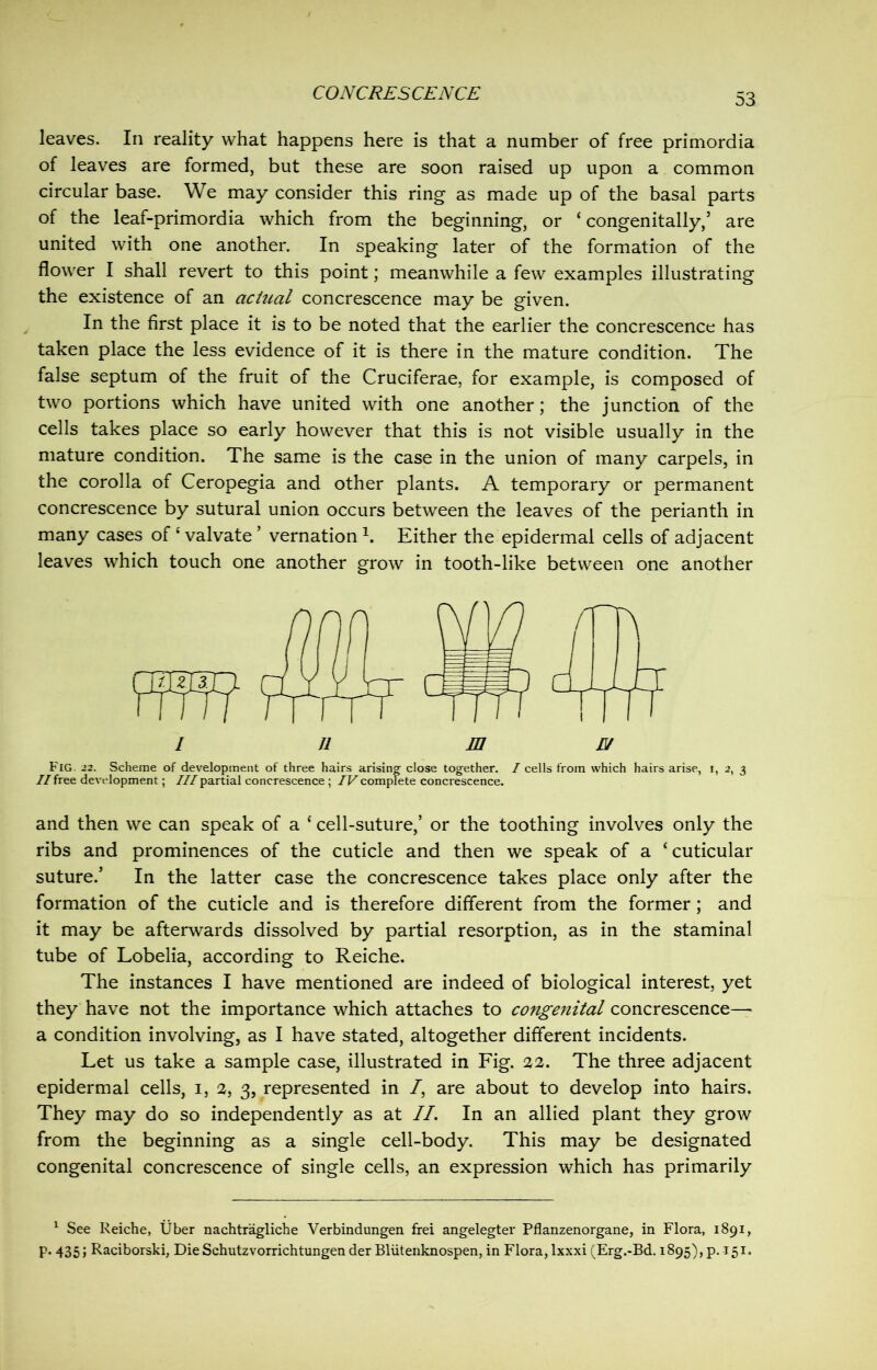 leaves. In reality what happens here is that a number of free primordia of leaves are formed, but these are soon raised up upon a common circular base. We may consider this ring as made up of the basal parts of the leaf-primordia which from the beginning, or £ congenitally,’ are united with one another. In speaking later of the formation of the flower I shall revert to this point; meanwhile a few examples illustrating the existence of an actual concrescence may be given. In the first place it is to be noted that the earlier the concrescence has taken place the less evidence of it is there in the mature condition. The false septum of the fruit of the Cruciferae, for example, is composed of two portions which have united with one another; the junction of the cells takes place so early however that this is not visible usually in the mature condition. The same is the case in the union of many carpels, in the corolla of Ceropegia and other plants. A temporary or permanent concrescence by sutural union occurs between the leaves of the perianth in many cases of c valvate ’ vernation 1. Either the epidermal cells of adjacent leaves which touch one another grow in tooth-like between one another Fig, 22. Scheme of development of three hairs arising close together. / cells from which hairs arise, i, 2, 3 //free development; ///partial concrescence ; IVcomplete concrescence. and then we can speak of a {cell-suture,’ or the toothing involves only the ribs and prominences of the cuticle and then we speak of a ‘cuticular suture.’ In the latter case the concrescence takes place only after the formation of the cuticle and is therefore different from the former; and it may be afterwards dissolved by partial resorption, as in the staminal tube of Lobelia, according to Reiche. The instances I have mentioned are indeed of biological interest, yet they have not the importance which attaches to congenital concrescence— a condition involving, as I have stated, altogether different incidents. Let us take a sample case, illustrated in Fig. 22. The three adjacent epidermal cells, 1, 2, 3, represented in /, are about to develop into hairs. They may do so independently as at II. In an allied plant they grow from the beginning as a single cell-body. This may be designated congenital concrescence of single cells, an expression which has primarily 1 See Reiche, fiber nachtragliche Verbindungen frei angelegter Pflanzenorgane, in Flora, 1891, p. 435 > Raciborski, Die Schutzvorrichtungen der Blutenknospen, in Flora, lxxxi (Erg.-Bd. 1895), p. 151.