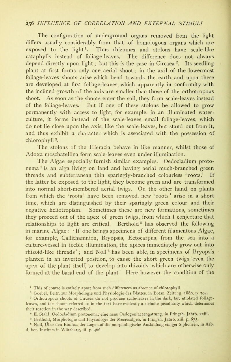 The configuration of underground organs removed from the light differs usually considerably from that of homologous organs which are exposed to the lightl. Thus rhizomes and stolons have scale-like cataphylls instead of foliage-leaves. The difference does not always depend directly upon light; but this is the case in Circaea 2. Its seedling plant at first forms only one aerial shoot; in the axil of the lowermost foliage-leaves shoots arise which bend towards the earth, and upon these are developed at first foliage-leaves, which apparently in conformity with the inclined growth of the axis are smaller than those of the orthotropous shoot. As soon as the shoots enter the soil, they form scale-leaves instead of the foliage-leaves. But if one of these stolons be allowed to grow permanently with access to light, for example, in an illuminated water- culture, it forms instead of the scale-leaves small foliage-leaves, which do not lie close upon the axis, like the scale-leaves, but stand out from it, and thus exhibit a character which is associated with the possession of chlorophyll 3. The stolons of the Hieracia behave in like manner, whilst those of Adoxa moschatellina form scale-leaves even under illumination. The Algae especially furnish similar examples. Oedocladium proto- nema4 is an alga living on land and having aerial much-branched green threads and subterranean thin sparingly-branched colourless ‘ roots.’ If the latter be exposed to the light, they become green and are transformed into normal short-membered aerial twigs. On the other hand, on plants from which the ‘roots’ have been removed, new ‘roots’ arise in a short time, which are distinguished by their sparingly green colour and their negative heliotropism. Sometimes these are new formations, sometimes they proceed out of the apex of green twigs, from which I conjecture that relationships to light are critical. Berthold5 has observed the following in marine Algae: ‘ If one brings specimens of different filamentous Algae, for example, Callithamnion, Bryopsis, Ectocarpus, from the sea into a culture-vessel in feeble illumination, the apices immediately grow out into rhizoid-like threads’; and Noll6 has been able, in specimens of Bryopsis planted in an inverted position, to cause the short green twigs, even the apex of the plant itself, to develop into rhizoids, which are otherwise only formed at the basal end of the plant. Here however the condition of the 1 This of course is entirely apart from such differences as absence of chlorophyll. 2 Goebel, Beitr. zur Morphologie und Physiologie des Blattes, in Botan. Zeitung, 1880, p. 794. 3 Orthotropous shoots of Circaea do not produce scale-leaves in the dark, but etiolated foliage- leaves, and the shoots referred to in the text have evidently a definite peculiarity which determines their reaction in the way described. 4 E. Stahl, Oedocladium protonema, eine neue Oedogoniaceengattung, in Pringsh. Jahrb. xxiii. 5 Berthold, Morphologie und Physiologie der Meeresalgen, in Pringsh. Jahrb. xiii. p. 673. 6 Noll, Uber den Einfluss der Lage auf die morphologische Ausbildung einiger Siphoneen, in Arb. d. bot. Instituts in Wurzburg, iii. p. 466.