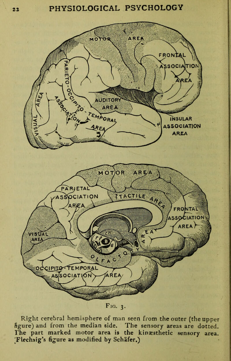 Right cerebral hemisphere of man seen from the outer (the upper figure) and from the median side. The sensory areas are dotted. The part marked motor area is the kinxsthetic sensory area. 'Flechsig’s figure as modified by Schafer.)