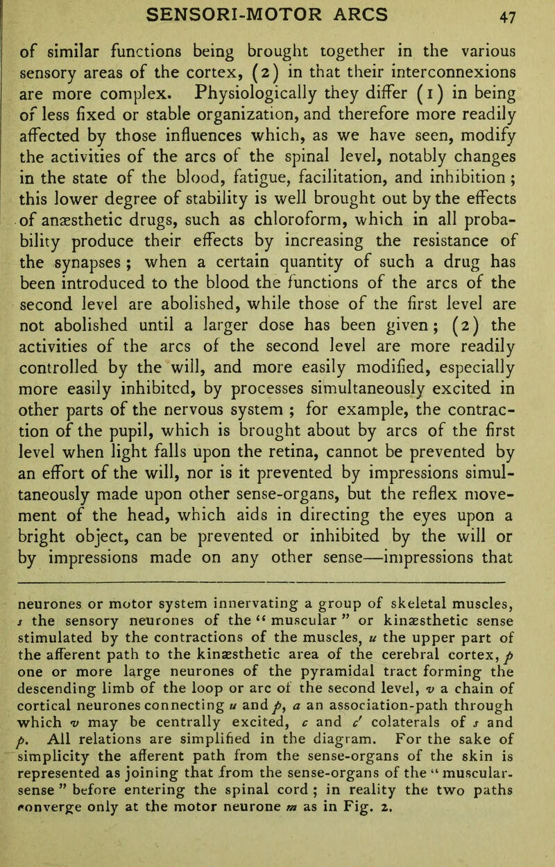 of similar functions being brought together in the various sensory areas of the cortex, (2) in that their interconnexions are more complex. Physiologically they differ (1) in being of less fixed or stable organization, and therefore more readily affected by those influences which, as we have seen, modify the activities of the arcs of the spinal level, notably changes in the state of the blood, fatigue, facilitation, and inhibition; this lower degree of stability is well brought out by the effects of anaesthetic drugs, such as chloroform, which in all proba- bility produce their effects by increasing the resistance of the synapses ; when a certain quantity of such a drug has been introduced to the blood the functions of the arcs of the second level are abolished, while those of the first level are not abolished until a larger dose has been given; (2) the activities of the arcs of the second level are more readily controlled by the will, and more easily modified, especially more easily inhibited, by processes simultaneously excited in other parts of the nervous system ; for example, the contrac- tion of the pupil, which is brought about by arcs of the first level when light falls upon the retina, cannot be prevented by an effort of the will, nor is it prevented by impressions simul- taneously made upon other sense-organs, but the reflex move- ment of the head, which aids in directing the eyes upon a bright object, can be prevented or inhibited by the will or by impressions made on any other sense—impressions that neurones or motor system innervating a group of skeletal muscles, s the sensory neurones of the “ muscular ” or kinaesthetic sense stimulated by the contractions of the muscles, u the upper part of the afferent path to the kinsesthetic area of the cerebral cortex, p one or more large neurones of the pyramidal tract forming the descending limb of the loop or arc of the second level, v a chain of cortical neurones connecting u and />, a an association-path through which v may be centrally excited, c and c' colaterals of s and p. All relations are simplified in the diagram. For the sake of simplicity the afferent path from the sense-organs of the skin is represented as joining that from the sense-organs of the “muscular- sense ” before entering the spinal cord ; in reality the two paths converge only at the motor neurone m as in Fig. 2.