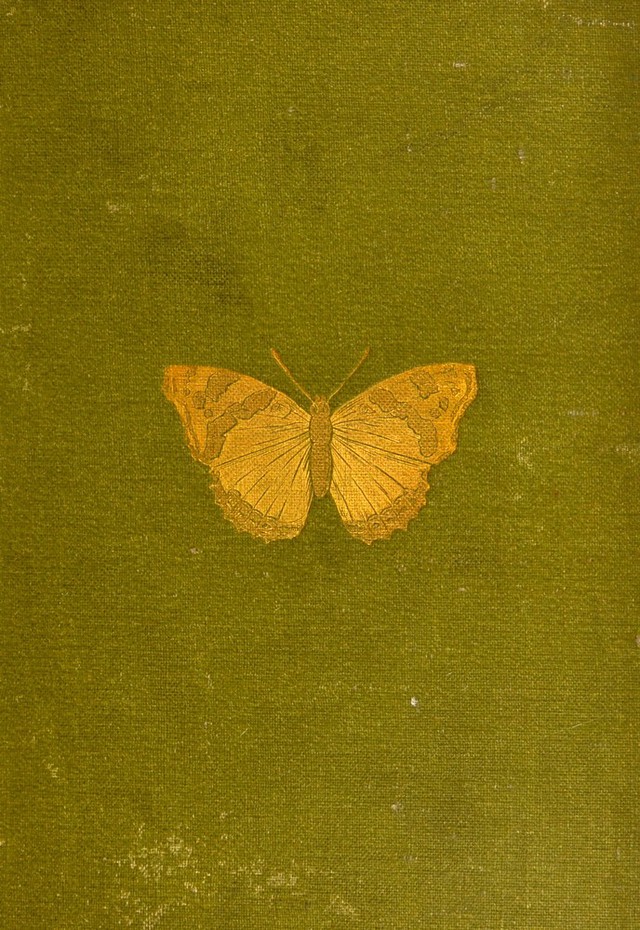 No text description is available for this image