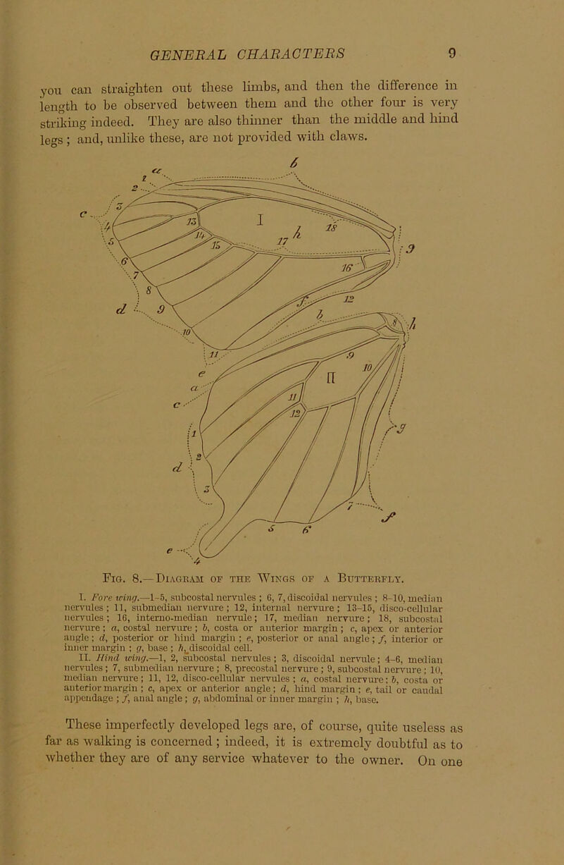 you can straighten out these limbs, and then the difference in length to be observed between them and the other four is very striking indeed. They are also thinner than the middle and hind legs ; and, unlike these, are not provided with claws. I. Fore inner.—1-5, subcostal nervules ; 6, 7, discoidal nervules ; 8-10, median liervules; 11, submedian nervure ; 12, internal nervure; 13-15, disco-cellular ncrvules; 10, interno-median nervule; 17, median nervure; 18, subcostal nervure; a, costal nervure ; b, costa or anterior margin; c, apex or anterior angle; d, posterior or bind margin ; e, posterior or anal angle; /, interior or inner margin ; g, base ; /fudiscoidal cell. II. Ilind wing.—1, 2, subcostal nervules; 3, discoidal nervule; 4-6, median ncrvules; 7, submedian nervure ; 8, precostal nervure; 9, subcostal nervure : 10, median nervure; 11, 12, disco-cellular nervules ; a, costal nervure; b, costa or anterior margin ; c, apex or anterior angle; d, hind margin; e, tail or caudal appendage ; /, anal angle; g, abdominal or inner margin ; //, base. These imperfectly developed legs are, of course, quite useless as far as walking is concerned ; indeed, it is extremely doubtful as to whether they are of any service whatever to the owner. On one