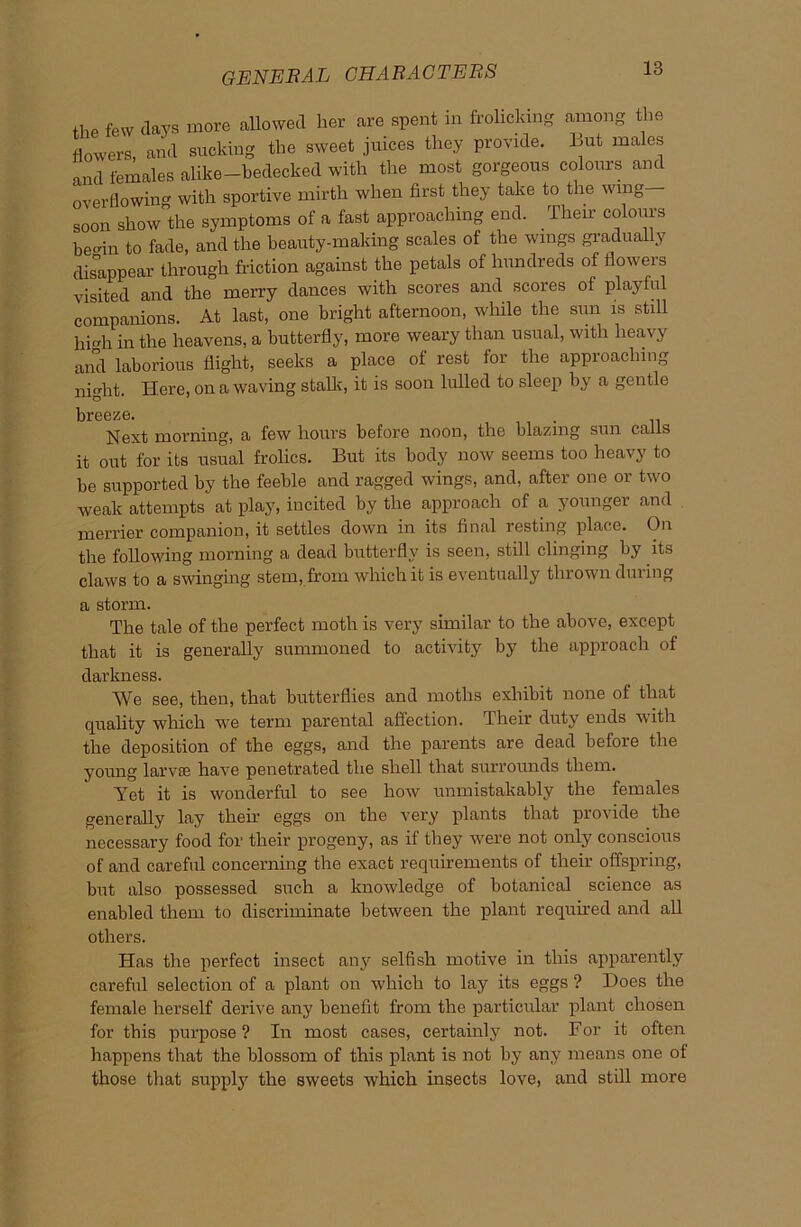 tllP few clays more allowed her are spent in frolicking among the flowers, and sucking the sweet juices they provide. But males and females alike-bedecked with the most gorgeous colours and overflowing with sportive mirth when first they take to the wmg soon show the symptoms of a fast approaching end. Their colours be-in to fade, and the beauty-making scales of the wings gradually disappear through friction against the petals of hundreds of flowers visited and the merry dances with scores and scores of playful companions. At last, one bright afternoon, while the sun is still hi-h in the heavens, a butterfly, more weary than usual, with heavy and laborious flight, seeks a place of rest for the approaching night. Here, on a waving stalk, it is soon lulled to sleep by a gentle breeze. ., . ,, Next morning, a few hours before noon, the blazing sun calls it out for its usual frolics. But its body now seems too heavy to be supported by the feeble and ragged wings, and, after one or two weak attempts at play, incited by the approach of a younger and merrier companion, it settles down in its final resting place. On the following morning a dead butterfly is seen, still clinging by its claws to a swinging stem, from which it is eventually thrown during a storm. The tale of the perfect moth is very similar to the above, except that it is generally summoned to activity by the approach of darkness. We see, then, that butterflies and moths exhibit none of that quality which we term parental affection. Their duty ends with the deposition of the eggs, and the parents are dead before the young larvae have penetrated the shell that surrounds them. Yet it is wonderful to see how unmistakably the females generally lay their eggs on the very plants that provide the necessary food for their progeny, as if they were not only conscious of and careful concerning the exact requirements of their offspring, but also possessed such a knowledge of botanical science as enabled them to discriminate between the plant required and all others. Has the perfect insect any selfish motive in this apparently careful selection of a plant on which to lay its eggs ? Does the female herself derive any benefit from the particular plant chosen for this purpose? In most cases, certainly not. For it often happens that the blossom of this plant is not by any means one of those that supply the sweets which insects love, and still more