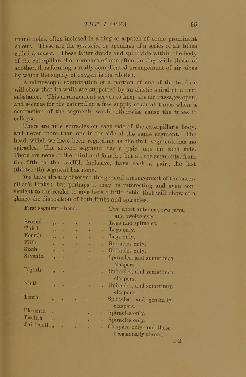 round holes, often inclosed in a ring or a patch of some prominent colour. These are the spiracles or openings of a series of air tubes called trachece. These latter divide and subdivide within the body of the caterpillar, the branches of one often uniting with those of another, thus forming a really complicated arrangement of air pipes by which the supply of oxygen is distributed. A microscopic examination of a. portion of one of the tracheae will show that its walls are supported by an elastic spiral of a firm substance. This arrangement serves to keep the air passages open, and secures for the caterpillar a free supply of air at times when a contraction of the segments would otherwise cause the tubes to collapse. There are nine spiracles on each side of the caterpillar’s body, and never more than one in the side of the same segment. The head, which we have been regarding as the first segment, has no spiracles. The second segment has a pair—one on each side. There are none in the third and fourth ; but all the segments, from the fifth to the twelfth inclusive, have each a pair; the last (thirteenth) segment has none. We have already observed the general arrangement of the cater- pillar s limbs ; but perhaps it may be interesting and even con- venient to the reader to give here a little table that will show at a glance the disposition of both limbs and spiracles. . Two short antennal, two jaws, and twelve eyes. . Legs and spiracles. . Legs only. . Legs only. . Spiracles only. . Spiracles only. . Spiracles, and sometimes claspers. Spiracles, and sometimes claspers. . Spiracles, and sometimes claspers. . Spiracles, and generally claspers. . Spiracles only. . Spiracles only. . Claspers only, and these occasionally absent. d 2 First segment—head. Second „ Third „ . Fourth „ Fifth „ . Sixth ,, Seventh Eighth Ninth Tenth Eleventh Twelfth Thirteenth