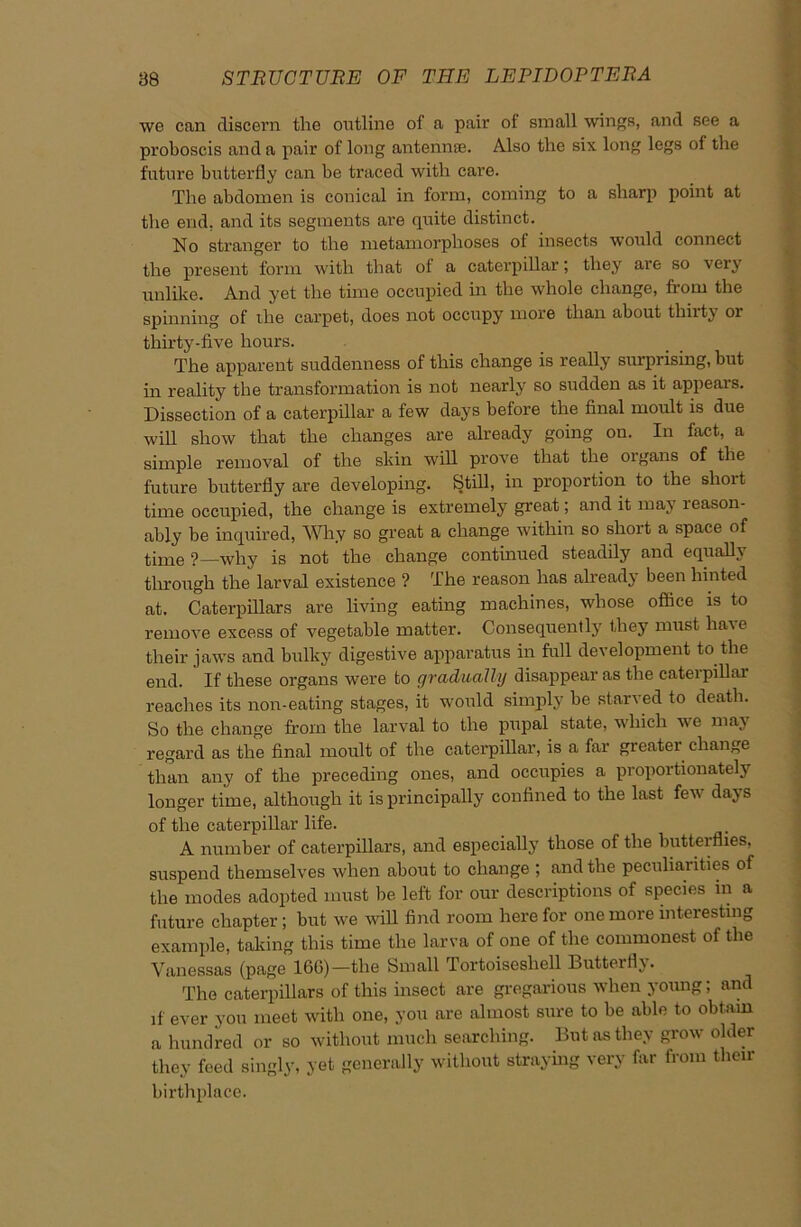 we can discern the outline of a pair of small wings, and see a proboscis and a pair of long antennas. Also the six long legs ol the future butterfly can be traced with care. The abdomen is conical in form, coming to a sharp point at the end. and its segments are quite distinct. No stranger to the metamorphoses of insects would connect the present form with that of a caterpillar; they are so very unlike. And yet the time occupied in the whole change, from the spinning of the carpet, does not occupy more than about thirty or thirty-five hours. The apparent suddenness of this change is really surprising, but in reality the transformation is not nearly so sudden as it appears. Dissection of a caterpillar a few days before the final moult is due will show that the changes are already going on. In fact, a simple removal of the skin will prove that the organs of the future butterfly are developing. Still, in proportion to the short time occupied, the change is extremely great; and it may reason- ably be inquired, Why so great a change within so short a space of time ?—why is not the change continued steadily and equally through the larval existence ? The reason has already been hinted at. Caterpillars are living eating machines, whose office is to remove excess of vegetable matter. Consequently they must have their jaws and bulky digestive apparatus in full development to the end. If these organs were to gradually disappear as the caterpillai reaches its non-eating stages, it would simply be starved to death. So the change from the larval to the pupal state, which we may regard as the final moult of the caterpillar, is a far greater change than any of the preceding ones, and occupies a proportionately longer time, although it is principally confined to the last few days of the caterpillar life. A number of caterpillars, and especially those of the butterflies, suspend themselves when about to change ; and the peculiarities of the modes adopted must be left for our descriptions of species in a future chapter; but we null find room here for one more interesting example, taking this time the larva of one of the commonest of the Vanessas (page 166)—the Small Tortoiseshell Butterfly. The caterpillars of this insect are gregarious when young; and if ever you meet with one, you are almost sure to be able to obtain a hundred or so without much searching. But as they grow older they feed singly, yet generally without straying very far from their birthplace.