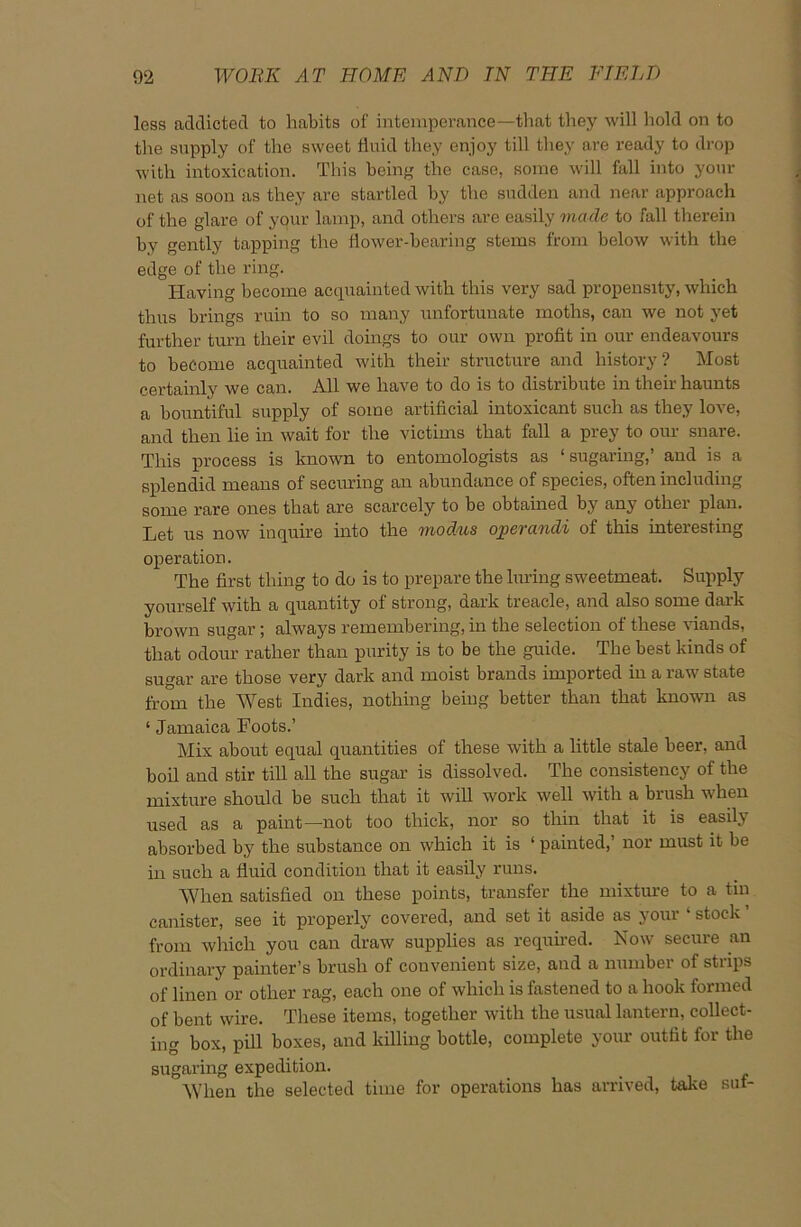 less addicted to habits of intemperance—that they will hold on to the supply of the sweet fluid they enjoy till they are ready to drop with intoxication. This being the case, some will fall into your net as soon as they are startled by the sudden and near approach of the glare of your lamp, and others are easily made to fall therein by gently tapping the flower-bearing stems from below with the edge of the ring. Having become acquainted with this very sad propensity, which thus brings ruin to so many unfortunate moths, can we not yet further turn their evil doings to our own profit in our endeavours to become acquainted with their structure and history? Most certainly we can. All we have to do is to distribute in their haunts a bountiful supply of some artificial intoxicant such as they love, and then lie in wait for the victims that fall a prey to our snare. This process is known to entomologists as ‘sugaring,’ and is a splendid means of seeming an abundance of species, often including some rare ones that are scarcely to be obtained by any other plan. Let us now inquire into the modus operandi of this interesting operation. The first thing to do is to prepare the luring sweetmeat. Supply yourself with a quantity of strong, dark treacle, and also some dark brown sugar; always remembering, in the selection of these viands, that odour rather than purity is to be the guide. The best kinds of sugar are those very dark and moist brands imported in a raw state from the West Indies, nothing being better than that known as ‘ Jamaica Foots.’ Mix about equal quantities of these with a little stale beer, and boil and stir till all the sugar is dissolved. The consistency of the mixture should be such that it will work well with a brush when used as a paint—not too thick, nor so thin that it is easily absorbed by the substance on which it is ‘ painted,’ nor must it be in such a fluid condition that it easily runs. When satisfied on these points, transfer the mixture to a tin canister, see it properly covered, and set it aside as your ‘ stock from which you can draw supplies as required. Now secure an ordinary painter’s brush of convenient size, and a number of strips of linen or other rag, each one of which is fastened to a hook formed of bent wire. These items, together with the usual lantern, collect- ing box, pill boxes, and killing bottle, complete your outfit for the sugaring expedition. When the selected time for operations has arrived, take suf-