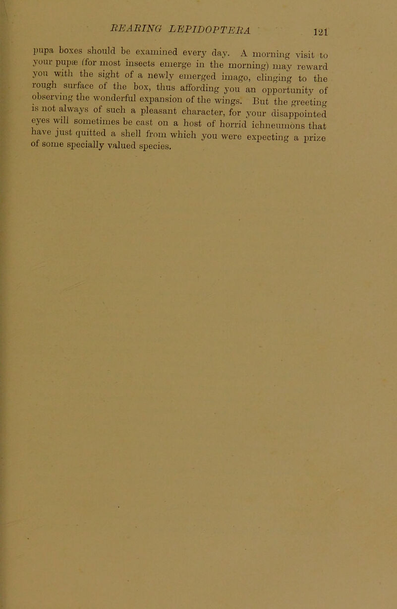pupa boxes should be examined every day. A morning visit to your pupae (for most insects emerge in the morning) may reward you with the sight of a newly emerged imago, clinging to the rough surface of the box, thus affording you an opportunity of observing the wonderful expansion of the wings. But the greeting is not always of such a pleasant character, for your disappointed eyes will sometimes be cast on a host of horrid ichneumons that have just quitted a shell from which you were expecting a prize of some specially valued species.