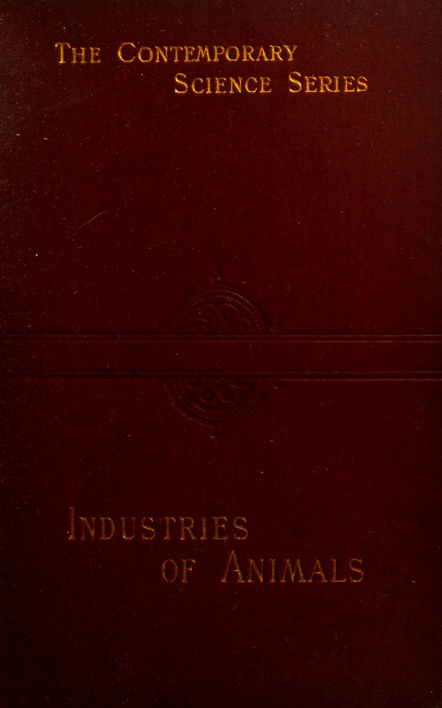 No text description is available for this image