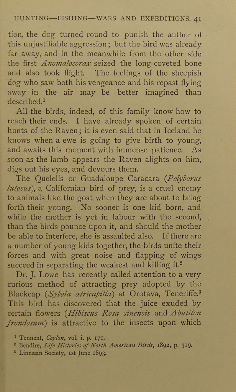 tion, the dog turned round to punish the author of this unjustifiable aggression ; but the bird was already far away, and in the meanvvhile from the other side the first Anomalocorax seized the long-coveted bone and also took flight. The feelings of the sheepish dog who saw both his vengeance and his repast flying away in the air may be better imagined than described.1 Ail the birds, indeed, of this family know how to reach their ends. I hâve already spoken of certain hunts of the Raven ; it is even said that in Iceland he knows when a ewe is going to give birth to young, and awaits this moment with immense patience. As soon as the lamb appears the Raven alights on him, digs out his eyes, and devours them. The Quelelis or Guadaloupe Caracara (Polyborus lutosus), a Californian bird of prey, is a cruel enemy to animais like the goat when they are about to bring forth their young. No sooner is one kid born, and while the mother is yet in labour with the second, than the birds pounce upon it, and should the mother be able to interfère, she is assaulted also. Ifthere are a number of young kids together, the birds unité their forces and with great noise and flapping of wings succeed in separating the weakest and killing it.2 Dr. J. Lowe lias recently called attention to a very curious method of attracting prey adopted by the Blackcap (Sylvia atricapilla) at Orotava, Teneriffe.3 This bird lias discovered that the juice exuded by certain flowers (Hibiscus Rosa sinensis and Abutilon frondosum) is attractive to the insects upon which 1 Tennent, Ceylon, vol. i. p. 171. 2 Bendire, Life Historiés of North American Birds, 1892, p. 319. 3 Linnæan Society, ist June 1893.