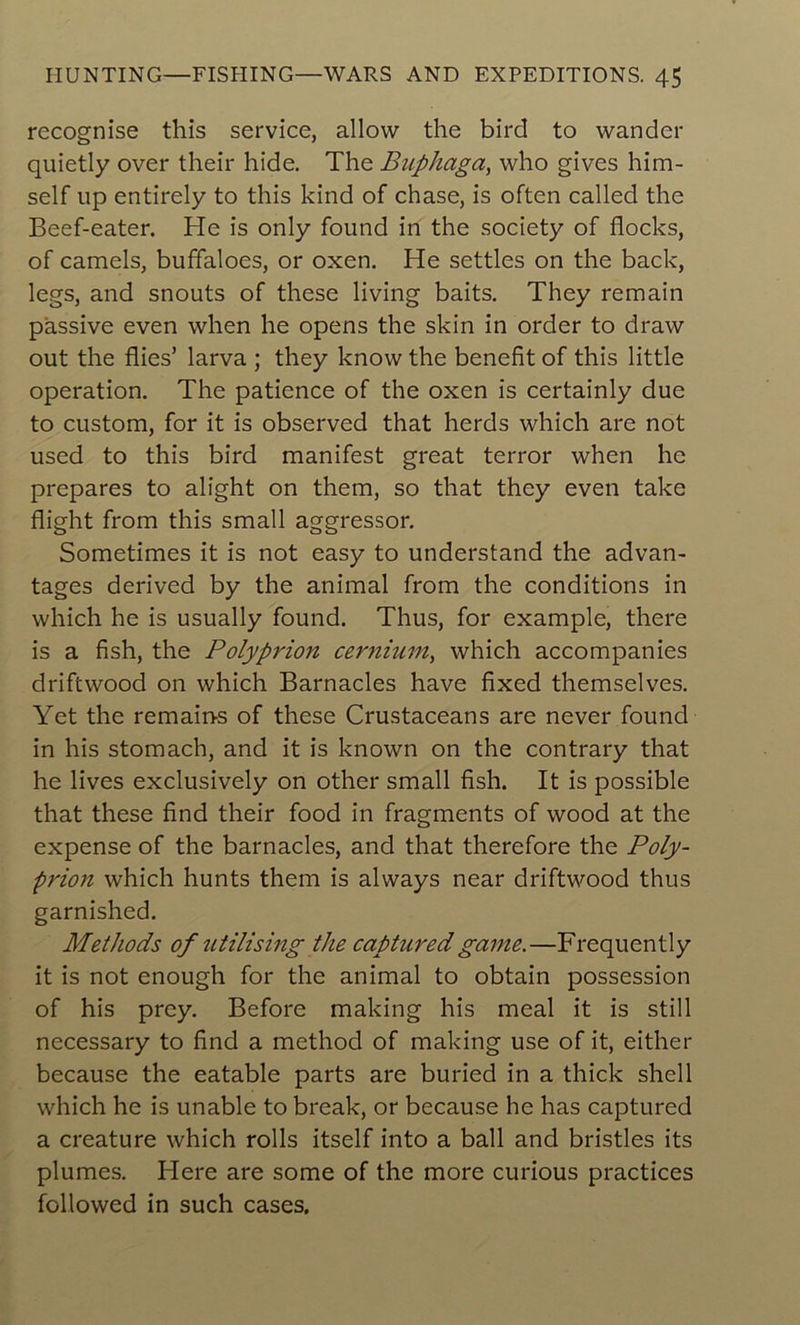 recognise this service, allow the bircî to wandcr quietly over their hide. The Buphaga, who gives him- self up entirely to this kind of chase, is often called the Beef-eater. He is only found in the society of flocks, of camels, buffaloes, or oxen. He settles on the back, legs, and snouts of these living baits. They remain passive even when he opens the skin in order to draw out the Aies’ larva ; they know the benefit of this little operation. The patience of the oxen is certainly due to custom, for it is observed that herds which are not used to this bird manifest great terror when he préparés to alight on them, so that they even take flight from this small aggressor. Sometimes it is not easy to understand the advan- tages derived by the animal from the conditions in which he is usually found. Thus, for example, there is a fish, the Polyprion cernium, which accompanies driftwood on which Barnacles hâve fixed themselves. Yet the remain-s of these Crustaceans are never found in his stomach, and it is known on the contrary that he lives exclusively on other small fish. It is possible that these find their food in fragments of wood at the expense of the barnacles, and that therefore the Poly- prion which hunts them is always near driftwood thus garnished. Methods of utilising the capturedgame.—Frequently it is not enough for the animal to obtain possession of his prey. Before making his meal it is still necessary to find a method of making use of it, either because the eatable parts are buried in a thick shell which he is unable to break, or because he has captured a créature which rolls itself into a bail and bristles its plumes. Here are some of the more curious practices followed in such cases.