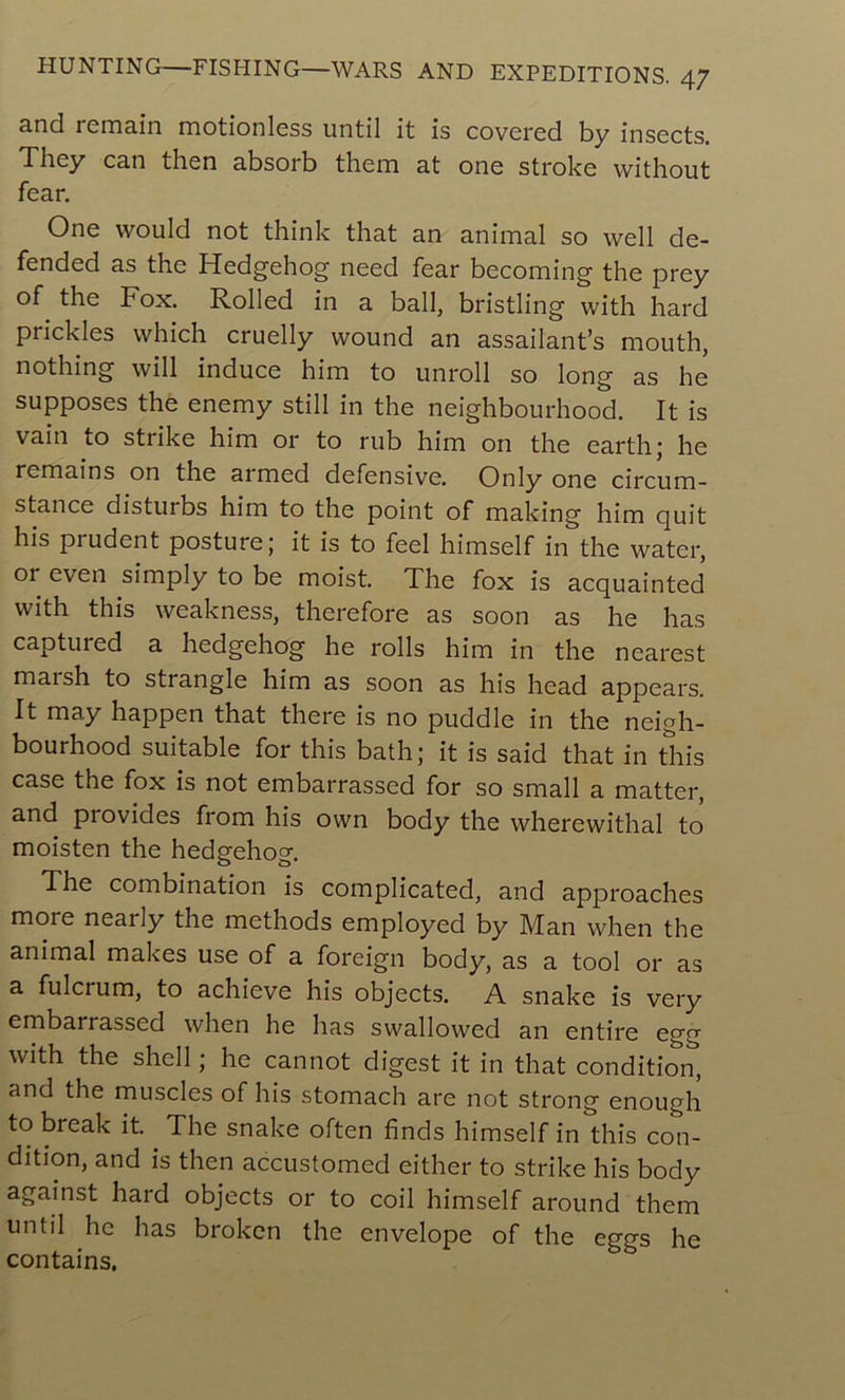 and remain motionless until it is covered b y insects. They can then absorb them at one stroke without fear. One would not think that an animal so well de- fended as the Hedgehog need fear becoming the prey of the Fox. Rolled in a bail, bristling with hard prickles which cruelly wound an assailant’s mouth, nothing will induce him to unroll so long as he supposes the enemy still in the neighbourhood. It is vain to strike him or to rub him on the earth; he remains on the armed défensive. Only one circum- stance disturbs him to the point of making him quit his prudent posture ; it is to feel himself in the water, or even simply to be moist. The fox is acquainted with this weakness, therefore as soon as he has captuied a hedgehog he rolls him in the nearest maish to strangle him as soon as his head appears. It may happen that there is no puddle in the neigh- bourhood suitable for this bath; it is said that in this case the fox is not embarrassed for so small a matter, and provides from his own body the wherewithal to moisten the hedgehog. The combination is complicated, and approaches more nearly the methods employed by Man when the animal makes use of a foreign body, as a tool or as a fulcrum, to achieve his objects. A snake is very embarrassed when he has swallowed an entire egg with the shell ; he cannot digest it in that condition, and the muscles of his stomach are not strong enough to break it. The snake often finds himself in this con- dition, and is then accustomed either to strike his body against hard objects or to coil himself around them until he has broken the envelope of the eggs he contains.