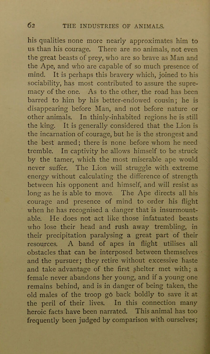 his qualities none more nearly approximates him to us than his courage. There are no animais, not even the great beasts of prey, who are so brave as Man and the Ape, and who are capable of so much presence of mind. It is perhaps this bravery which, joined to his sociability, has most contributed to assure the supre- macy of the one. As to the other, the road has been barred to him by his better-endowed cousin; he is disappearing before Man, and not before nature or other animais. In thinly-inhabited régions he is still the king. It is generally considered that the Lion is the incarnation of courage, but he is the strongest and the best armed; there is none before whom he need tremble. In captivity he allows himself to be struck by the tamer, which the most misérable ape would never suffer. The Lion will struggle with extreme energy without calculating the différence of strength between his opponent and himself, and will resist as long as he is able to move. The Ape directs ail his courage and presence of mind to order his flight when he has recognised a danger that is insurmount- able. He does not act like those infatuated beasts who lose their head and rush away trembling, in their précipitation paralysing a great part of their resources. A band of apes in flight utilises ail obstacles that can be interposed between themselves and the pursuer; they retire without excessive haste and take advantage of the first shelter met with; a female never abandons lier young, and if a young one remains behind, and is in danger of being taken, the old males of the troop gô back boldly to save it at the péril of their lives. In this connection many heroic facts hâve been narrated. This animal has too frequently been judged by comparison with ourselves;