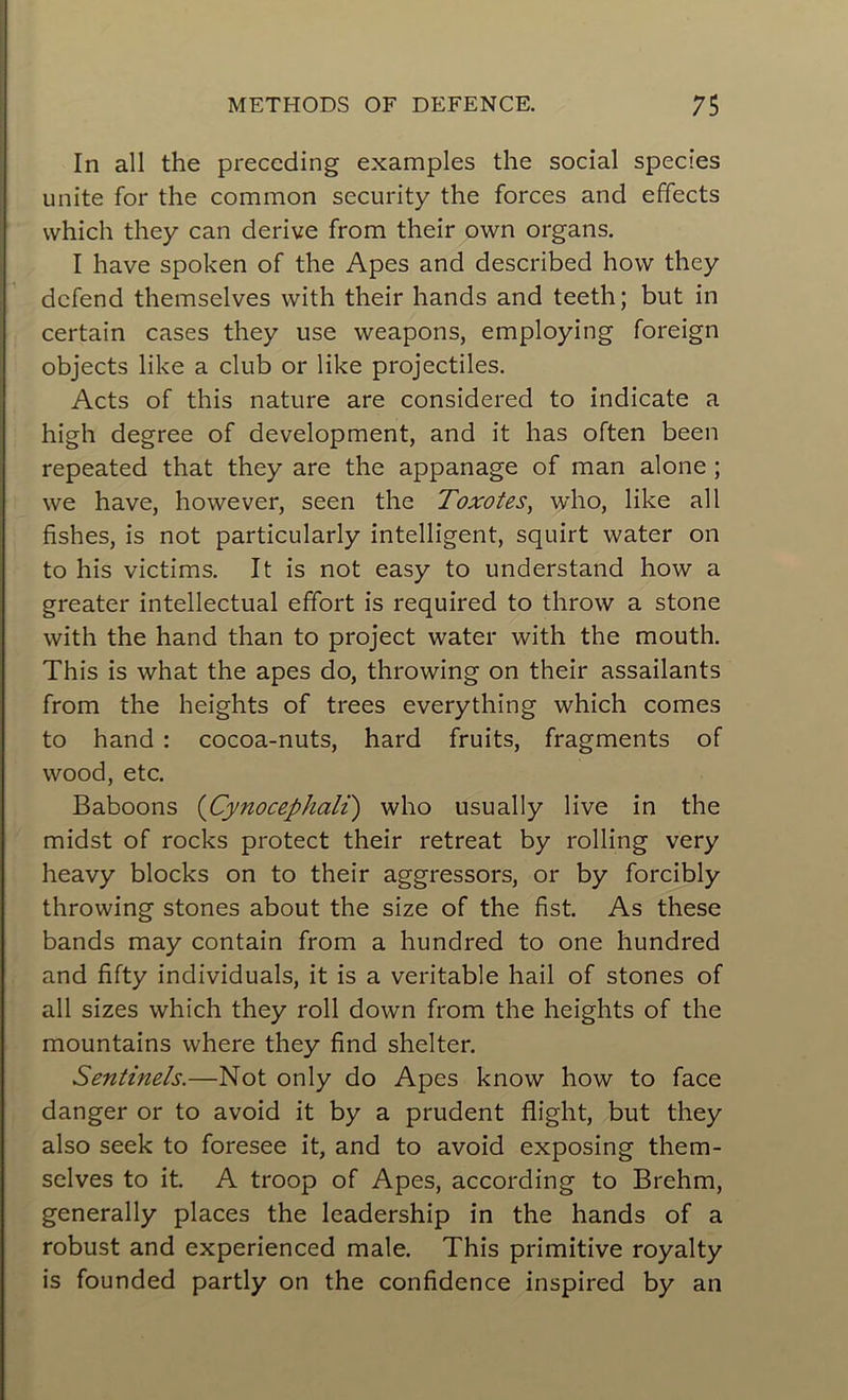 In ail the preccding examples the social species unité for the common security the forces and effects vvhich they can dérivé from their own organs. I hâve spoken of the Apes and described hovv they dcfend themselves with their hands and teeth; but in certain cases they use weapons, employing foreign objects like a club or like projectiles. Acts of this nature are considered to indicate a high degree of development, and it has often been repeated that they are the appanage of man alone ; we hâve, however, seen the Toxotes, who, like ail fishes, is not particularly intelligent, squirt water on to his victims. It is not easy to understand how a greater intellectual effort is required to throw a stone with the hand than to project water with the mouth. This is what the apes do, throwing on their assailants from the heights of trees everything which cornes to hand : cocoa-nuts, hard fruits, fragments of wood, etc. Baboons (Cynocephali) who usually live in the midst of rocks protect their retreat by rolling very heavy blocks on to their aggressors, or by forcibly throwing stones about the size of the fist. As these bands may contain from a hundred to one hundred and fifty individuals, it is a véritable hail of stones of ail sizes which they roll down from the heights of the mountains where they find shelter. Sentinels.—Not only do Apes know how to face danger or to avoid it by a prudent flight, but they also seek to foresee it, and to avoid exposing them- selves to it. A troop of Apes, according to Brehm, generally places the leadership in the hands of a robust and experienced male. This primitive royalty is founded partly on the confidence inspired by an