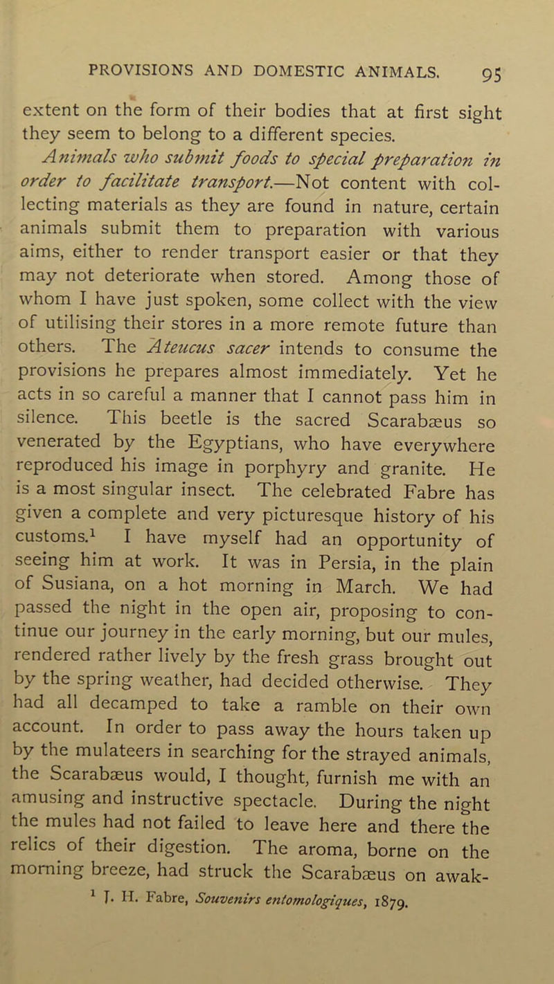 extent on the form of their bodies that at first sight they seem to belong to a different species. Animais who submit foods to spécial préparation in order to facilitâte transport.—Not content with col- lecting materials as they are found in nature, certain animais submit them to préparation with various aims, either to render transport easier or that they may not deteriorate when stored. Among those of whom I hâve just spoken, some collect with the view of utilising their stores in a more remote future than others. The Ateucus sacer intends to consume the provisions he préparés almost immediately. Yet he acts in so careful a manner that I cannot pass him in silence. This beetle is the sacred Scarabæus so venerated by the Egyptians, who hâve everywhere reproduced his image in porphyry and granité. He is a most singular insect. The celebrated Fabre has given a complété and very picturesque history of his customs.1 I hâve myself had an opportunity of seeing him at work. It was in Persia, in the plain of Susiana, on a hot morning in March. We had passed the night in the open air, proposing to con- tinue our journey in the early morning, but our mules, rendered rather lively by the fresh grass brought out by the spring weather, had decided otherwise. They had ail decamped to take a ramble on their own account. In order to pass away the hours taken up by the mulateers in searching for the strayed animais, the Scarabæus would, I thought, furnish me with an amusing and instructive spectacle. During the night the mules had not failed to leave here and there the relies of their digestion. The aroma, borne on the morning breeze, had struck the Scarabæus on awak- 1 f. H. Fabre, Souvenirs entomologiques, 1879.