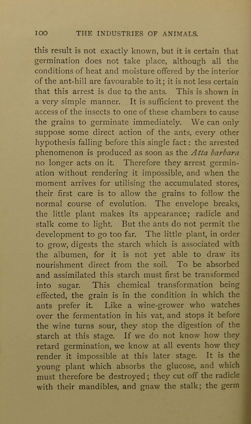this resuit is not exactly known, but it is certain that germination does not take place, although ail the conditions of heat and moisture offered by the interior of the ant-hill are favourable to it; it is not less certain that this arrest is due to the ants. This is shown in a very simple manner. It is sufficient to prevent the access of the insects to one of these chambers to cause the grains to germinate immediately. We can only suppose some direct action of the ants, every other hypothesis falling before this single fact : the arrested phenomenon is produced as soon as the Atta barbara no longer acts on it. Therefore they arrest germin- ation without rendering it impossible, and when the moment arrives for utilising the accumulated stores, their first care is to allow the grains to foliow the normal course of évolution. The envelope breaks, the little plant makes its appearance; radicle and stalk corne to light. But the ants do not permit the development to go too far. The little plant, in order to grow, digests the starch which is associated with the albumen, for it is not yet able to draw its nourishment direct from the soil. To be absorbed and assimilated this starch must first be transformed into sugar. This Chemical transformation being effected, the grain is in the condition in which the ants prefer it. Like a wine-grower who watches over the fermentation in his vat, and stops it before the wine turns sour, they stop the digestion of the starch at this stage. If we do not know how they retard germination, we know at ail events how they render it impossible at this later stage. It is the young plant which absorbs the glucose, and which must therefore be destroyed ; they eut off the radicle with their mandibles, and gnaw the stalk; the germ