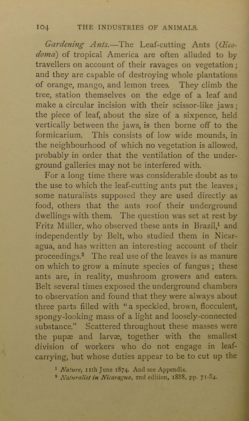 Gardening Ants.—The Leaf-cutting Ants (Œco- dorna) of tropical America are often alluded to by travellers on account of their ravages on végétation ; and they are capable of destroying whole plantations of orange, mango, and lemon trees. They climb the tree, station themselves on the edge of a leaf and make a circular incision with their scissor-like jaws ; the piece of leaf, about the size of a sixpence, held vertically between the jaws, is then borne off to the formicarium. This consists of low wide mounds, in the neighbourhood of which no végétation is allowed, probably in order that the ventilation of the under- ground galleries may not be interfered with. For a long time there was considérable doubt as to the use to which the leaf-cutting ants put the leaves ; some naturalists supposed they are used directly as food, others that the ants roof their underground dwellings with them. The question was set at rest by Fritz Millier, who observed these ants in Brazil,1 and independently by Belt, who studied them in Nicar- agua, and has written an interesting account of their proceedings.2 The real use of the leaves is as manure on which to grow a minute species of fungus ; these ants are, in reality, mushroom growers and eaters. Belt several times exposed the underground chambers to observation and found that they were always about three parts filled with “a speckled, brown, flocculent, spongy-looking mass of a light and loosely-connected substance.” Scattered throughout these masses were the pupæ and larvæ, together with the smallest division of workers who do not engage in leaf- carrying, but whose duties appear to be to eut up the 1 Nature, nthjune 1S74. And see Appendix. 2 Naturalist in Nicaragua, 2nd édition, 1888, pp. 7I-84.