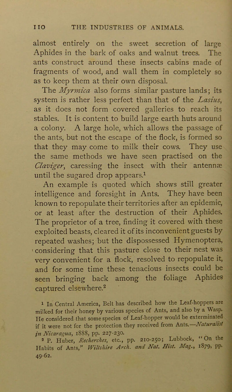 almost entirely on the sweet sécrétion of large Aphides in the bark of oaks and walnut trees. The ants construct around these insects cabins made of fragments of wood, and wall them in completely so as to keep them at their own disposai. The Myrmica also forms similar pasture lands; its System is rather less perfect than that of the Lasius, as it does not form covered galleries to reach its stables. It is content to build large earth huts around a colony. A large hole, which allows the passage of the ants, but not the escape of the flock, is formed so that they may corne to milk their cows. They use the same methods we hâve seen practised on the Clavigzr, caressing the insect with their antennæ until the sugared drop appears.1 An example is quoted which shows still greater intelligence and foresight in Ants. They hâve been known to repopulate their territories after an épidémie, or at least after the destruction of their Aphides. The proprietor of a tree, finding it covered with these exploited beasts, cleared it ofits inconvénient guests by repeated washes; but the dispossessed Hymenoptera, ' considering that this pasture close to their nest was very convenient for a flock, resolved to repopulate it, and for some time these tenacious insects could be seen bringing back among the foliage Aphides captured elsewhere.2 1 In Central America, Belt has described how the Leaf-hoppers are milked for their honey by various species of Ants, and also by a Wasp. I-Ie considered that some species of Leaf-hopper would be exterminated if it were not for the protection they received from Ants.—Naturalist jn Nicaragua, 1888, pp. 227-230. 2 P. Huber, Recherches, etc., pp. 210-250; Lubbock, “On the Habits of Ants,” Wiltshire Arch. and Nat. Hist. Mag., 1879, pp. 49-62.