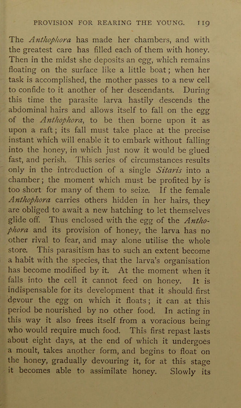 The Anthophora has made her chambers, and with the greatest care has filled each of them with honey. Then in the midst she deposits an egg, which remains floating on the surface like a little boat ; when her task is accomplished, the mother passes to a new cell to confide to it another of her descendants. During this time the parasite larva hastily descends the abdominal hairs and allows itself to fall on the egg of the Anthophora, to be then borne upon it as upon a raft ; its fall must take place at the précisé instant which will enable it to embark without falling into the honey, in which just now it would be glued fast, and perish. This sériés of circuinstances results only in the introduction of a single Sitaris into a chamber ; the moment which must be profited by is too short for many of them to seize. If the female Anthophora carries others hidden in her hairs, they are obliged to await a new hatching to let themselves glide off. Thus enclosed with the egg of the Antho- phora and its provision of honey, the larva has no other rival to fear, and may alone utilise the whole store. This parasitism has to such an extent become a habit with the species, that the larva’s organisation has become modified by it. At the moment when it falls into the cell it cannot feed on honey. It is indispensable for its development that it should first devour the egg on which it floats ; it can at this period be nourished by no other food. In acting in this way it also frees itself from a voracious being who would require much food. This first repast lasts about eight days, at the end of which it undergoés a moult, takes another form, and begins to float on the honey, gradually devouring it, for at this stage it becomes able to assimilate honey. Slowly its