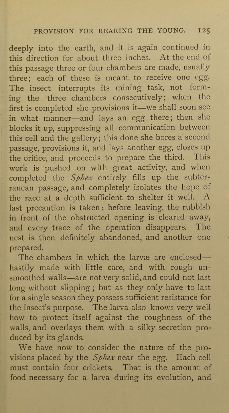 deeply into the earth, and it is again continued in this direction for about three inches. At the end of this passage three or four chambers are made, usually three; each of these is meant to receive one egg. The insect interrupts its mining taslc, not form- ing the three chambers consecutively ; when the first is completed she provisions it—we shall soon see in what manner—and lays an egg there; then she blocks it up, suppressing ail communication between this cell and the gallery; this done she bores a second passage, provisions it, and lays another egg, closes up the orifice, and proceeds to préparé the third. This work is pushed on with great activity, and when completed the Sphex entirely fills up the subter- ranean passage, and completely isolâtes the hope of the race at a depth sufficient to shelter it well. A last précaution is taken : before leàving, the rubbish in front of the obstructed opening is cleared away, and every trace of the operation disappears. The nest is then definitely abandoned, and another one prepared. The chambers in which the larvæ are enclosed— hastily made with little care, and with rough un- smoothed walls—are not very solid, and could not last long without slipping ; but as they only hâve to last for a single season they possess sufficient résistance for the insect’s purpose. The larva also knows very well how to protect itself against the roughness of the walls, and overlays them with a silky sécrétion pro- duced by its glands. We hâve now to consider the nature of the pro- visions placed by the Sphex near the egg. Each cell must contain four crickets. That is the amount of food necessary for a larva during its évolution, and