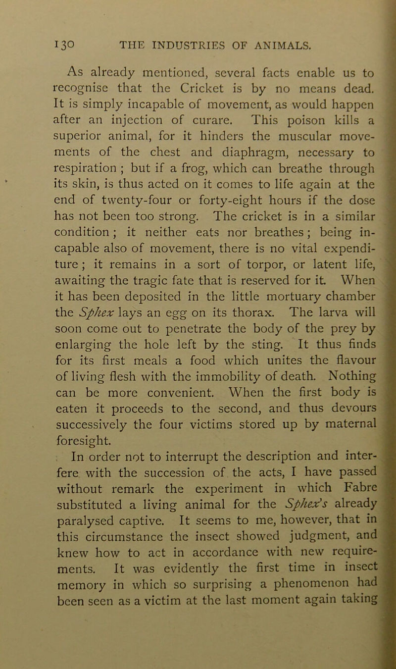 As already mentioned, sevcral facts cnable us to recognise that the Cricket is by no means dead. It is simply incapable of movcment, as would happen after an injection of curare. This poison kills a superior animal, for it hinders the muscular move- ments of the chest and diaphragm, necessary to respiration ; but if a frog, which can breathe through its skin, is thus acted on it cornes to life again at the end of tvventy-four or forty-eight hours if the dose has not been too strong. The cricket is in a similar condition ; it neither eats nor breathes ; being in- capable also of movement, there is no vital expendi- ture ; it remains in a sort of torpor, or latent life, awaiting the tragic fate that is reserved for it. When it has been deposited in the little mortuary chamber the Sphex lays an egg on its thorax. The larva will soon corne out to penetrate the body of the prey by enlarging the hole left by the sting. It thus finds for its first meals a food which unités the flavour of living flesh with the immobility of death. Nothing can be more convenient. When the first body is eaten it proceeds to the second, and thus devours successively the four victims stored up by maternai foresight. In order not to interrupt the description and inter- fère with the succession of the acts, I hâve passed without remark the experiment in which Fabre substituted a living animal for the Sphex's already paralysed captive. It seems to me, however, that in this circumstance the insect showed judgment, and knew how to act in accordance with new require- ments. It was evidently the first time in insect memory in which so surprising a phenomenon had been seen as a victim at the last moment again taking
