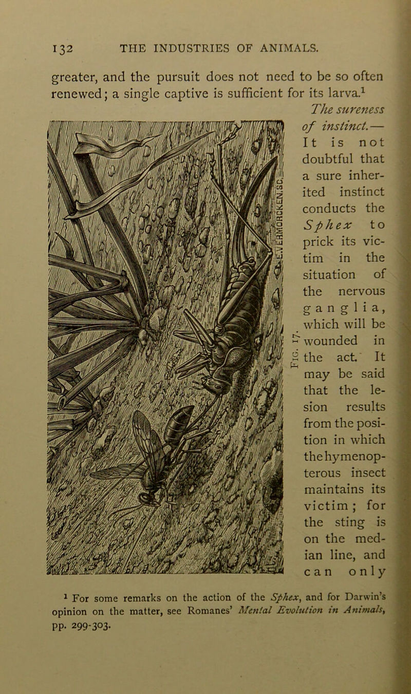 greater, and the pursuit does not necd to be so often renewed; a single captive is sufficient for its larva.1 The sur eues s of instinct.— 11 i s not doubtful that a sure inher- ited instinct conducts the Sphex to prick its vic- tim in the situation of the nervous g a n g 1 i a, which vvill be ~ wounded in B the act. It may be said that the lé- sion results from the posi- tion in which thehymenop- terous insect maintains its victim ; for the sting is on the méd- ian line, and c a n o n 1 y 1 For some remarks on the action of the Sphex, and for Darwin’s opinion on the matter, see Romanes’ Mental Evolution in Animais, pp. 299-303.