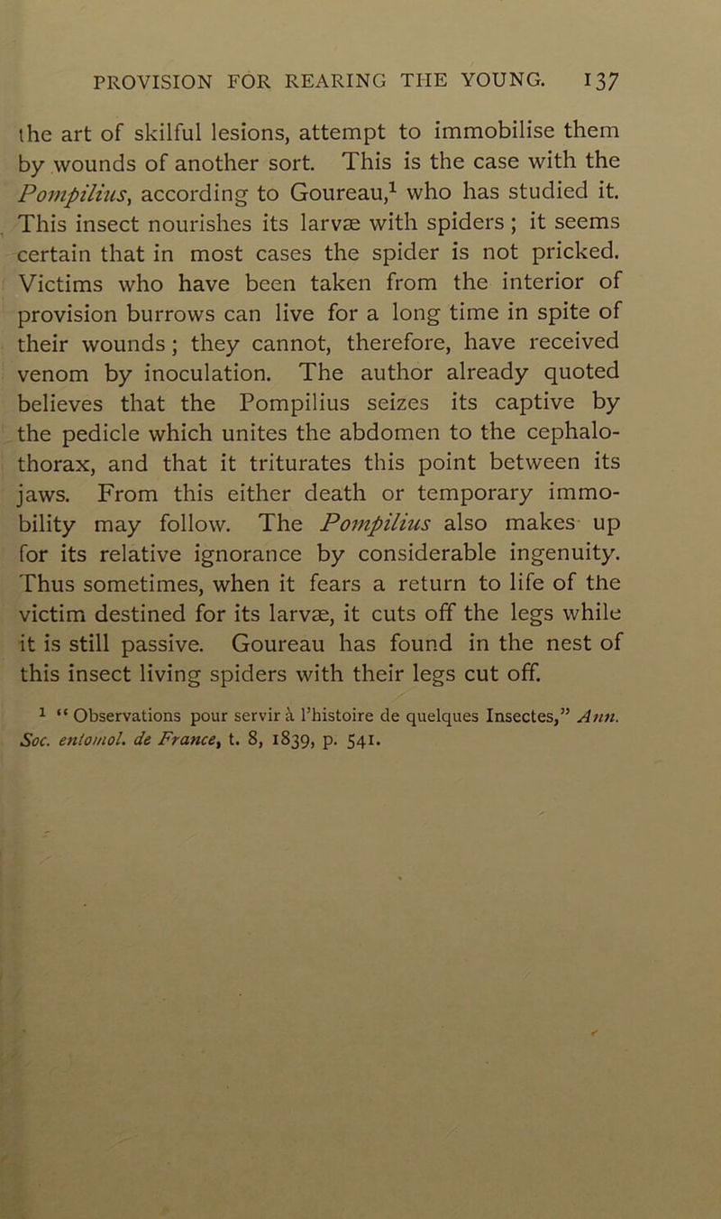 the art of skilful lésions, attempt to immobilise them b y wounds of another sort. This is the case with the Pompilius, according to Goureau,1 who lias studied it. This insect nourishes its larvæ with spiders ; it seems certain that in most cases the spider is not pricked. Victims who hâve been taken from the interior of provision burrows can live for a long time in spite of their wounds ; they cannot, therefore, hâve received venom by inoculation. The author already quoted believes that the Pompilius seizes its captive by the pedicle which unités the abdomen to the céphalo- thorax, and that it triturâtes this point between its jaws. From this either death or temporary immo- bility may follow. The Pompilius also makes up for its relative ignorance by considérable ingenuity. Thus sometimes, when it fears a return to life of the victim destined for its larvæ, it cuts off the legs while it is still passive. Goureau lias found in the nest of this insect living spiders with their legs eut off. 1 “ Observations pour servir à l’histoire de quelques Insectes,” Ann. Soc. entomol. de France, t. 8, 1839, p. 541.