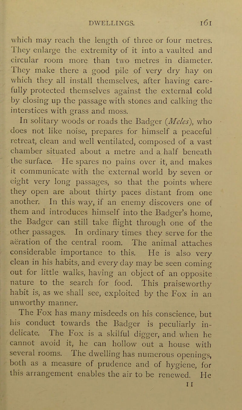 which may reach the length of three or four métrés. They enlarge the extremity of it into a vaulted and circular room more than two métrés in diameter. They make there a good pile of very dry hay on which they ail install themselves, after having care- fully protected themselves against the external cold by closing up the passage with stones and calking the interstices with grass and moss. In solitary woods or roads the Badger (Me/es), who does not like noise, préparés for himself a peaceful retreat, clean and well ventilatcd, composed of a vast chamber situated about a métré and a half beneath the surface. Ile spares no pains over it, and makes it communicate with the external world by seven or eight very long passages, so that the points where they open are about thirty paces distant from one another. In this way, if an enemy discovers one of them and introduces himself into the Badger’s home, the Badger can still take flight through one of the other passages. In ordinary times they serve for the aération of the central room. The animal attaches considérable importance to this. He is also very clean in his habits, and every day may be seen coming out for little walks, having an object of an opposite nature to the search for food. This praiseworthy habit is, as we shall see, exploited by the Fox in an unworthy manner. The Fox has many misdeeds on his conscience, but his conduct towards the Badger is pcculiarly in- délicate. I he box is a skilful digger, and when hc canriot avoid it, he can hollovv out a house with several rooms. The dwelling has numerous openings, both as a measure of prudence and of hygiene, for this arrangement enables the air to be rencwed. He