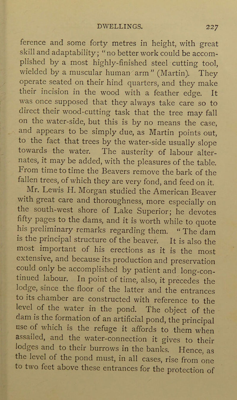 ference and some forty métrés in height, with great skill and adaptability ; “ no better work could be accom- plished by a most highly-finished Steel cutting tool, wielded by a muscular human arm ” (Martin). They operate seated on their hind quarters, and they make their incision in the woocl with a feather edge. It was once supposed that they always take care so to direct their wood-cutting task that the tree may fall on the water-side, but this is by no means the case, and appears to be simply due, as Martin points out, to the fact that trees by the water-side usually slope towards the water. The austerity of labour alter- nâtes, it may be added, with the pleasures of the table. From time to time the Beavers remove the bark of the fallen trees, of which they are very fond, and feed on it. Mr. Lewis H. Morgan studied the American Beaver with great care and thoroughness, more especially on the south-west shore of Lake Superior; he devotes fifty pages to the dams, and it is worth while to quote his preliminary remarks regarding them. « The dam is the principal structure of the beaver. It is also the most important of his érections as it is the most extensive, and because its production and préservation could only be accomplished by patient and long-con- tinued labour. In point of time, also, it précédés the lodge, since the floor of the latter and the entrances to its chamber are constructed with reference to the level of the water in the pond. The object of the dam is the formation of an artificial pond, the principal ose of which is the refuge it affords to them when assailed, and the water-connection it gives to their lodges and to their burrows in the banks. Hence, as the level of the pond must, in ail cases, rise from one to two feet above these entrances for the protection of