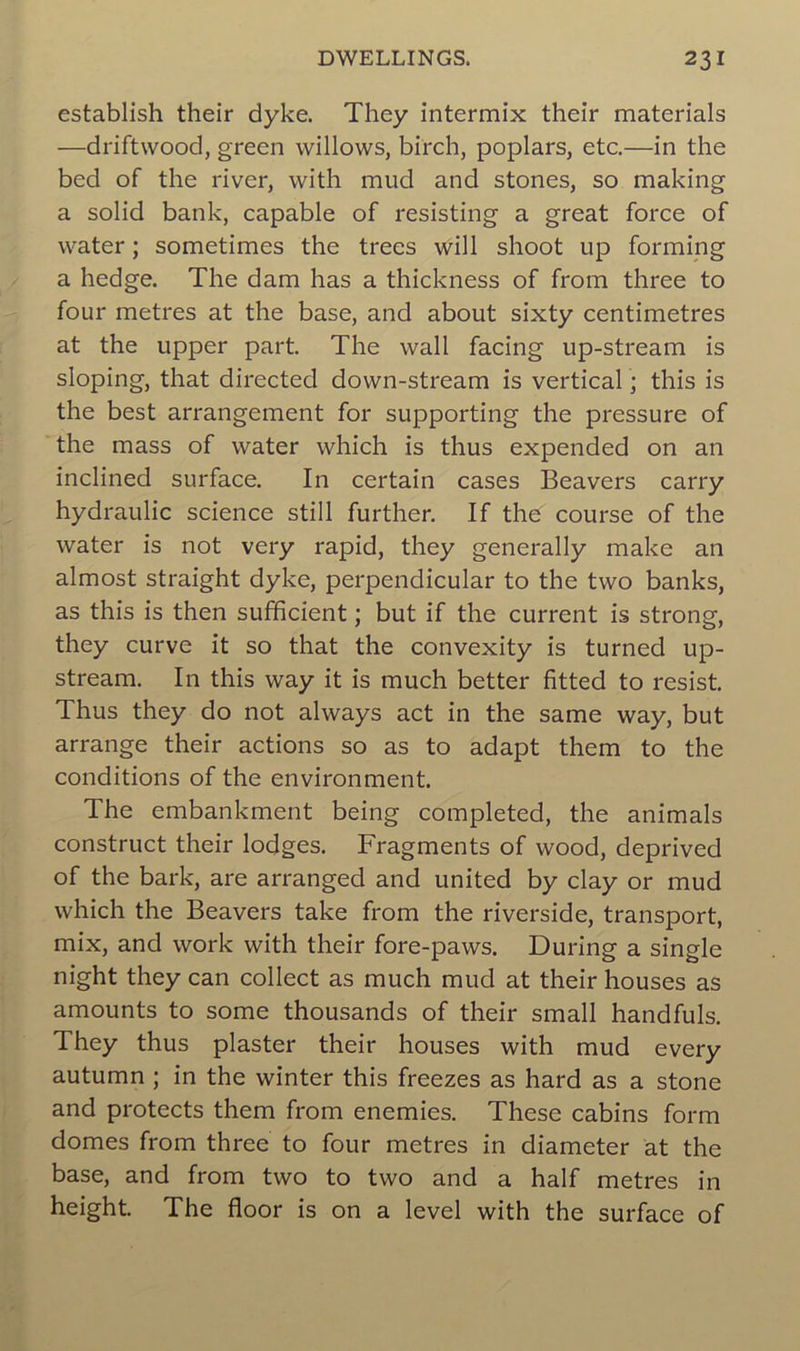 establish their dyke. Thcy intermix their materials —driftwood, green willows, birch, poplars, etc.—in the bed of the river, with mud and stones, so making a solid bank, capable of resisting a great force of water ; sometimes the trees will shoot up forming a hedge. The dam has a thickness of from three to four métrés at the base, and about sixty centimètres at the upper part. The vvall facing up-stream is sloping, that directed down-stream is vertical ; this is the best arrangement for supporting the pressure of the mass of water which is thus expended on an inclined surface. In certain cases Beavers carry hydraulic science still further. If the course of the water is not very rapid, they generally make an almost straight dyke, perpendicular to the two banks, as this is then sufficient ; but if the current is strong, they curve it so that the convexity is turned up- stream. In this way it is much better fitted to resist. Thus they do not always act in the same way, but arrange their actions so as to adapt them to the conditions of the environment. The embankment being completed, the animais construct their lodges. Fragments of wood, deprived of the bark, are arranged and united by clay or mud which the Beavers take from the riverside, transport, mix, and work with their fore-paws. During a single night they can collect as much mud at their houses as amounts to some thousands of their small handfuls. They thus plaster their houses with mud every autumn ; in the winter this freezes as hard as a stone and protects them from enemies. These cabins form dômes from three to four métrés in diameter at the base, and from two to two and a half métrés in height. The floor is on a level with the surface of