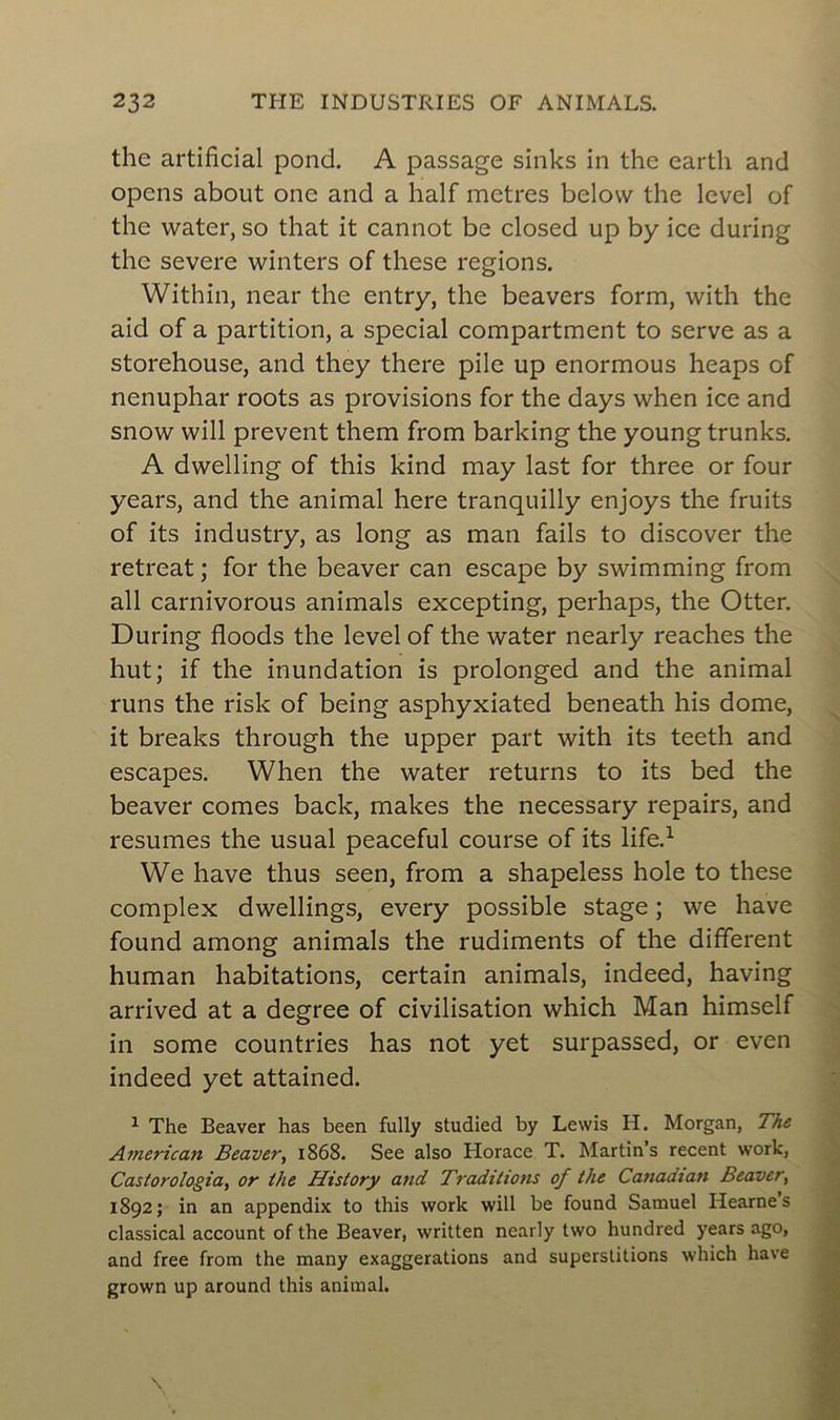 thc artificial pond. A passage sinks in the eartli and opens about one and a half métrés belovv the level of the water, so that it cannot be closed up b y ice during the severe winters of these régions. Within, near the entry, the beavers form, with the aid of a partition, a spécial compartment to serve as a storehouse, and they there pile up enormous heaps of nénuphar roots as provisions for the days when ice and snow will prevent them from barking the young trunks. A dwelling of this kind may last for three or four years, and the animal here tranquilly enjoys the fruits of its industry, as long as man fails to discover the retreat ; for the beaver can escape by swimming from ail carnivorous animais excepting, perhaps, the Otter. During floods the level of the water nearly reaches the hut; if the inundation is prolonged and the animal runs the risk of being asphyxiated beneath his dôme, it breaks through the upper part with its teeth and escapes. When the water returns to its bed the beaver cornes back, makes the necessary repairs, and résumés the usual peaceful course of its life.1 We hâve thus seen, from a shapeless hole to these complex dwellings, every possible stage ; we hâve found among animais the rudiments of the different human habitations, certain animais, indeed, having arrived at a degree of civilisation which Man himself in some countries has not yet surpassed, or even indeed yet attained. 1 The Beaver has been fully studied by Lewis H. Morgan, The American Beaver, 1868. See also Horace T. Martin’s recent work, Castorologia, or the History and Traditions of the Canadian Beaver, 1892; in an appendix to this work will be found Samuel Iiearne s classical account of the Beaver, written nearly two hundred years ago, and free from the many exaggerations and superstitions which hâve grown up around this animal.