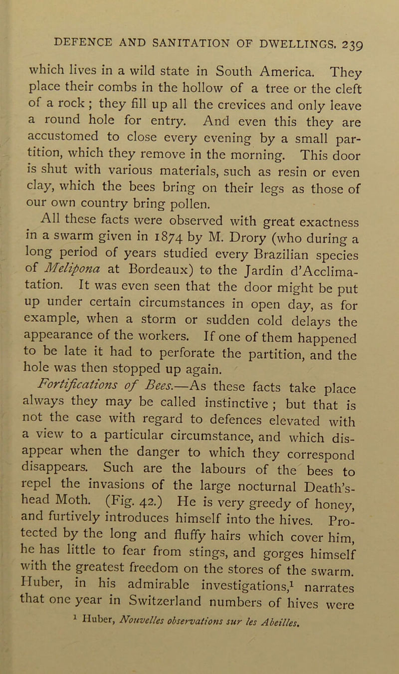 which lives in a wild State in South America. They place their combs in the hollow of a tree or the cleft of a rock ; they fill up ail the crevices and only leave a round hole for entry. And even this they are accustomed to close every evening by a small par- tition, which they remove in the morning. This door is shut with various materials, such as resin or even clay, which the bees bring on their legs as those of our own country bring pollen. Ail these facts were observed with great exactness in a swarm given in 1874 by M. Drory (who during a long period of years studied every Brazilian species of Melipona at Bordeaux) to the Jardin d’Acclima- tation. It was even seen that the door might be put up under certain circumstances in open day, as for example, when a storm or sudden cold delays the appearance of the workers. If one of them happened to be late it had to perforate the partition, and the hole was then stopped up again. Fortifications of Bees.—As these facts take place always they may be called instinctive ; but that is not the case with regard to defences elevated with a view to a particular circumstance, and which dis- appear when the danger to which they correspond disappears. Such are the labours of the bees to repel the invasions of the large nocturnal Death’s- head Moth. (Fig. 42.) He is very greedy of honey, and furtively introduces himself into the hives. Pro- tected by the long and fluffy hairs which cover him, he has little to fear from stings, and gorges himself v ith the greatest freedom on the stores of the swarm. II uber, in his admirable investigations,1 narrâtes that one year in Switzerland numbers of hives were 1 H uber, Nouvelles observations sur les Abeilles.