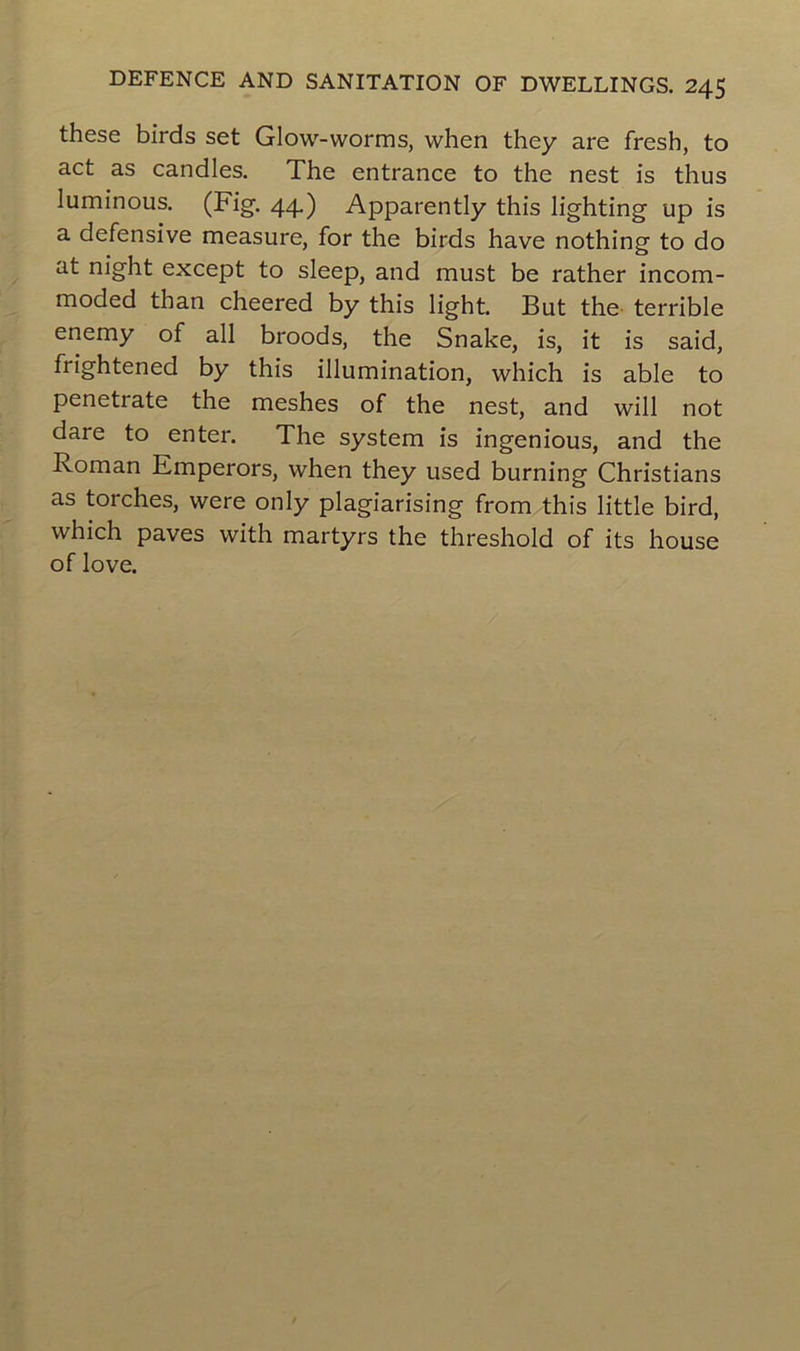 these birds set Glow-worms, vvhen they are fresh, to act as candies. The entrance to the nest is thus luminous. (Fig. 44) Apparently this lighting up is a défensive measure, for the birds hâve nothing to do at night except to sleep, and must be rather incom- moded than cheered by this light. But the terrible enemy of ail broods, the Snake, is, it is said, frightened by this illumination, which is able to penetrate the meshes of the nest, and will not dare to enter. The System is ingenious, and the Roman Emperors, when they used burning Christians as torches, vvere only plagiarising from this little bird, which paves with martyrs the threshold of its house of love.