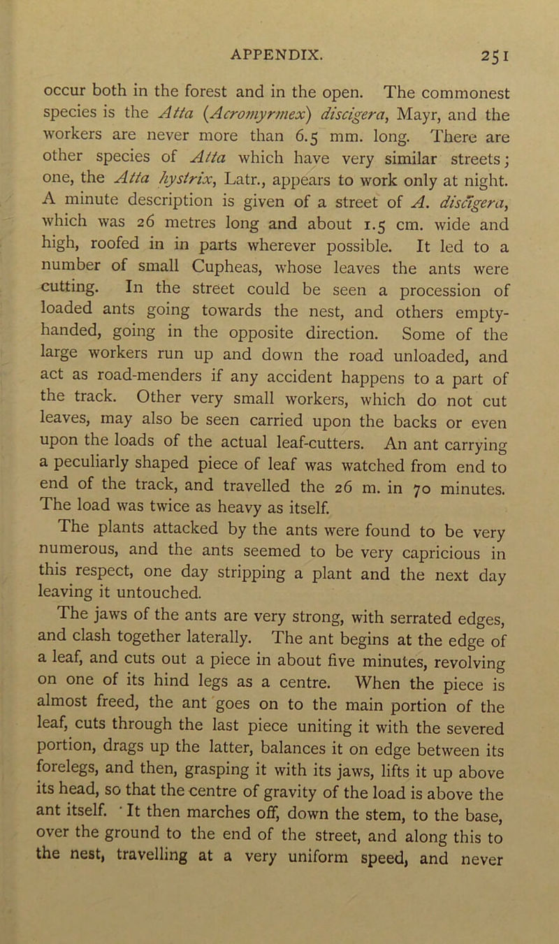 occur both in the forest and in the open. The commonest species is the Atta (Acromyrmex) discigera, Mayr, and the workers are never more than 6.5 mm. long. There are other species of Atta which hâve very similar streets ; one, the Atta hystrix, Latr., appears to work only at night. A minute description is given of a Street of A. disâgera, which was 26 métrés long and about 1.5 cm. wide and high, roofed in in parts wherever possible. It led to a number of small Cupheas, whose leaves the ants were cutting. In the Street could be seen a procession of loaded ants going towards the nest, and others empty- handed, going in the opposite direction. Some of the large workers run up and down the road unloaded, and act as road-menders if any accident happens to a part of the track. Other very small workers, which do not eut leaves, may also be seen carried upon the backs or even upon the loads of the actual leaf-cutters. An ant carrying a peculiarly shaped piece of leaf was watched from end to end of the track, and travelled the 26 m. in 70 minutes. The load was twice as heavy as itself. The plants attacked by the ants were found to be very numerous, and the ants seemed to be very capricious in this respect, one day stripping a plant and the next day leaving it untouched. The jaws of the ants are very strong, with serrated edges, and clash together laterally. The ant begins at the edge of a leaf, and cuts out a piece in about five minutes, revolving on one of its hind legs as a centre. When the piece is almost freed, the ant goes on to the main portion of the leaf, cuts through the last piece uniting it with the severed portion, drags up the latter, balances it on edge between its forelegs, and then, grasping it with its jaws, lifts it up above its head, so that the centre of gravity of the load is above the ant itself. • It then marches off, down the stem, to the base, over the ground to the end of the Street, and along this to the nest, travelling at a very uniform speed, and never