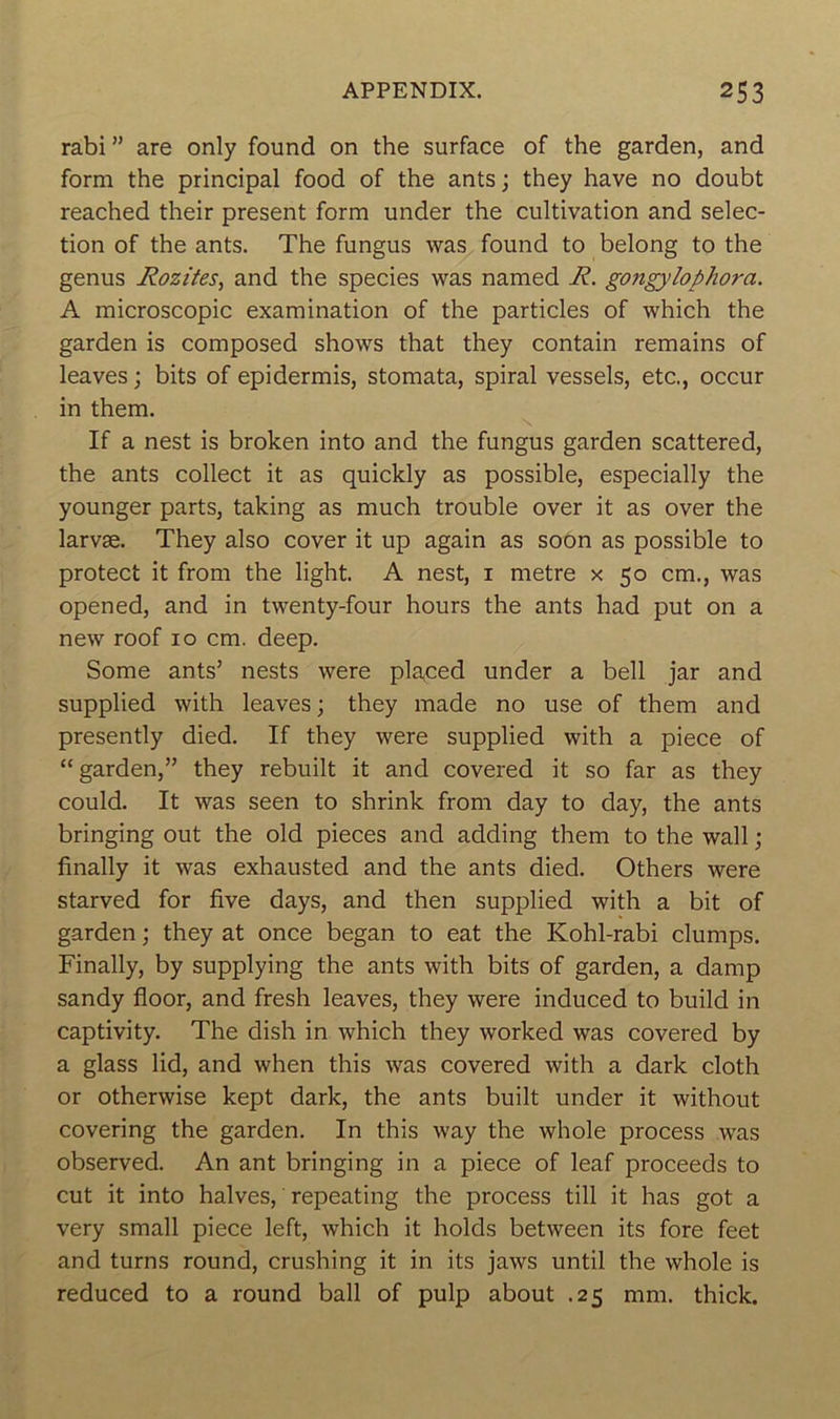 rabi ” are only found on the surface of the garden, and form the principal food of the ants ; they hâve no doubt reached their présent form under the cultivation and sélec- tion of the ants. The fungus was found to belong to the genus Rozites, and the species was named R. gongylophora. A microscopie examination of the particles of which the garden is composed shows that they contain remains of leaves ; bits of epidermis, stomata, spiral vessels, etc., occur in them. If a nest is broken into and the fungus garden scattered, the ants collect it as quickly as possible, especially the younger parts, taking as much trouble over it as over the larvæ. They also cover it up again as soon as possible to protect it from the light. A nest, i métré x 50 cm., was opened, and in twenty-four hours the ants had put on a new roof 10 cm. deep. Some ants’ nests were plaped under a bell jar and supplied with leaves ; they made no use of them and presently died. If they were supplied with a piece of “garden,” they rebuilt it and covered it so far as they could. It was seen to shrink from day to day, the ants bringing out the old pièces and adding them to the wall ; finally it was exhausted and the ants died. Others were starved for five days, and then supplied with a bit of garden ; they at once began to eat the Kohl-rabi clumps. Finally, by supplying the ants with bits of garden, a damp sandy floor, and fresh leaves, they were induced to build in captivity. The dish in which they worked was covered by a glass lid, and when this was covered with a dark cloth or otherwise kept dark, the ants built under it without covering the garden. In this way the whole process was observed. An ant bringing in a piece of leaf proceeds to eut it into halves, repeating the process till it has got a very small piece left, which it holds between its fore feet and turns round, crushing it in its jaws until the whole is reduced to a round bail of pulp about .25 mm. thick.