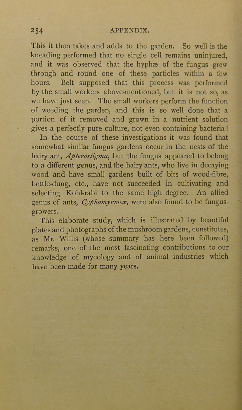 This it then takes and adds to the garden. So well is the kneading performed that no single cell remains uninjured, and it was observed that the hyphæ of the fungus gren through and round one of these particles within a few hours. Belt supposed that this process was performed by the small workers above-mentioned, but it is not so, as we hâve just seen. The small workers perforai the function of weeding the garden, and this is so well done that a portion of it removed and grown in a nutrient solution gives a perfectly pure culture, not even containing bacteria ! In the course of these investigations it was found that somewhat similar fungus gardens occur in the nests of the hairy ant, Apterostigma, but the fungus appeared to belong to a different genus, and the hairy ants, who live in decaying wood and hâve small gardens built of bits of wood-fibre, bettle-dung, etc., hâve not succeeded in cultivating and selecting Kohl-rabi to the same high degree. An allied genus of ants, Cypho?nyrmex> were also found to be fungus- growers. This elaborate study, which is illustrated by beautiful plates and photographs of the mushroom gardens, constitutes, as Mr. Willis (whose summary has here been followed) remarks, one of the most fascinating contributions to our knowledge of mycology and of animal industries which hâve been made for many years.
