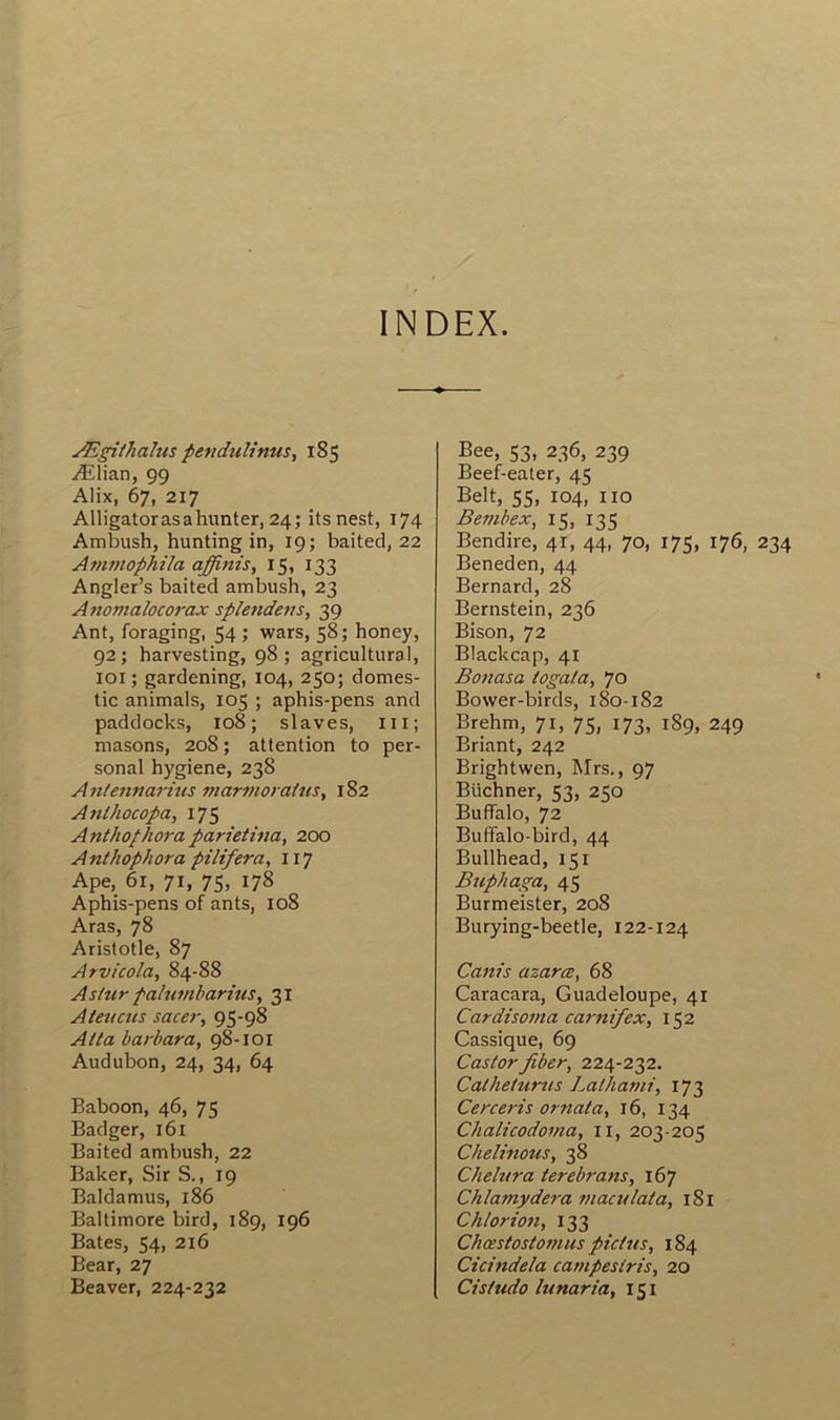 INDEX. Ægithalus pendulinus, 185 Ælian, 99 Alix, 67, 217 Alligatorasahunter, 24; itsnest, 174 Ambush, hunting in, 19; baited, 22 Atnmophila affinis, 15, 133 Angler’s baited ambush, 23 Anomalocorax splendens, 39 Ant, foraging, 54 ; wars, 58; honey, 92; harvesting, 98 ; agricultural, 101 ; gardening, 104, 250; domes- tic animais, 105 ; aphis-pens and paddocks, 108; slaves, ni; masons, 208 ; attention to Per- sonal hygiene, 238 Antennarius marmoraitis, 182 Anlhocopa, 175 Anthophoraparietina, 200 A nthophora pilifera, 117 Ape, 61, 71, 75, 178 Aphis-pens of ants, 108 Aras, 78 Aristotle, 87 Arvicola, 84-88 Astur palumbarius, 31 A levais sacer, 95-98 Alla bar bar a, 98-101 Audubon, 24, 34, 64 Baboon, 46, 75 Badger, 161 Baited ambush, 22 Baker, Sir S., 19 Baldamus, 186 Baltimore bird, 189, 196 Bâtes, 54, 216 Bear, 27 Beaver, 224-232 Bee, 53, 236, 239 Beef-eater, 45 Belt, 55, 104, no Bembex, 15, 135 Bendire, 41, 44, 70, 175, 176, 234 Beneden, 44 Bernard, 28 Bernstein, 236 Bison, 72 Blackcap, 41 Bonasa togata, 70 Bower-birds, 180-182 Brehm, 71, 75, 173, 189, 249 Briant, 242 Brightwen, Mrs., 97 BUchner, 53, 250 Buffalo, 72 Buffalo-bird, 44 Bullhead, 151 Bnphaga, 45 Burmeister, 208 Burying-beetle, 122-124 Canis azarœ, 68 Caracara, Guadeloupe, 41 Cardisoma carnifex, 152 Cassique, 69 Castorfiber, 224-232. Cathelurus Lalhami, 173 Cerceris ornai a, 16, 134 Chalicodoma, n, 203-205 Chelinous, 38 Chelnra terebrans, 167 Chlamydera maculala, 181 Ch/orion, 133 Chœstostomus pictus, 184 Cicindela campes iris, 20 Cistudo hinaria, 151