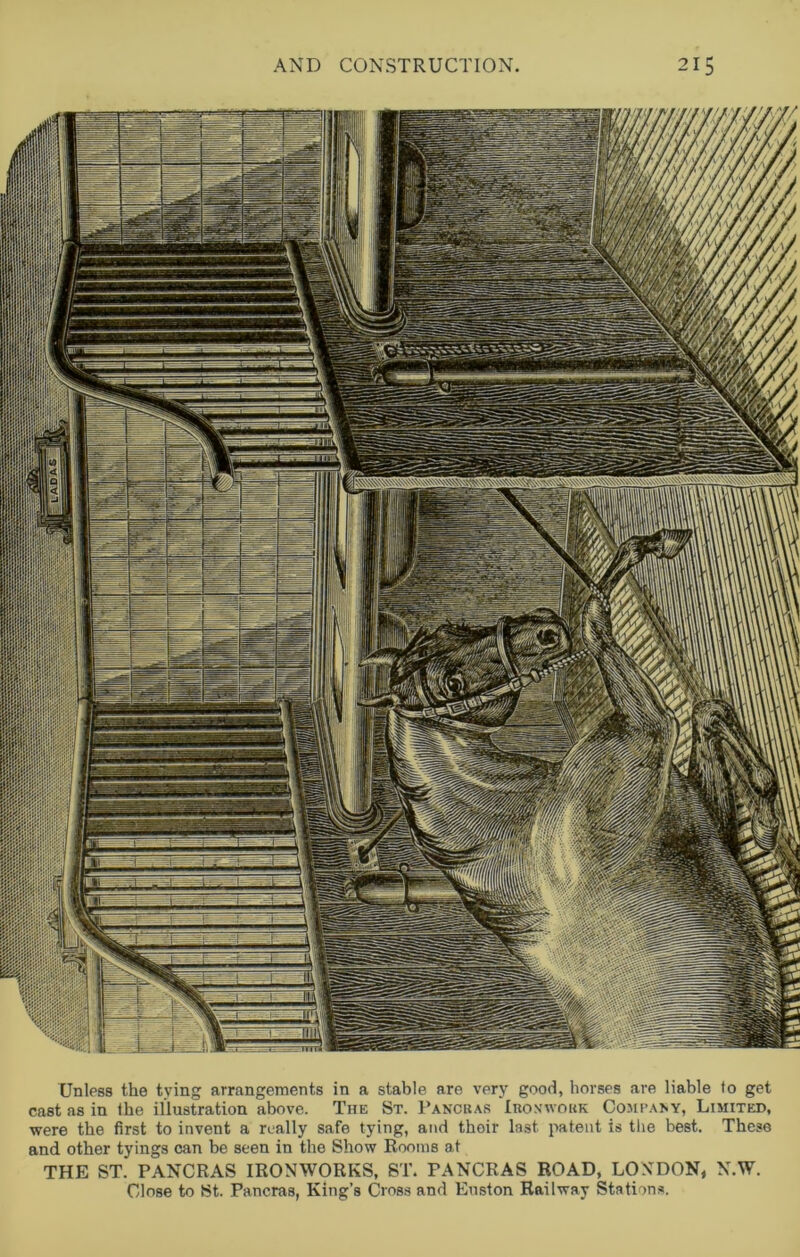 Unless the tying arrangements in a stable are very good, horses are liable to get cast as in the illustration above. The St. Pancrab Ironwork Company, Limited, were the first to invent a really safe tying, and their last patent is the best. These and other tyings can be seen in the Show Rooms at THE ST. PANCRAS IRONWORKS, ST. PANCRAS ROAD, LONDON, N.W.