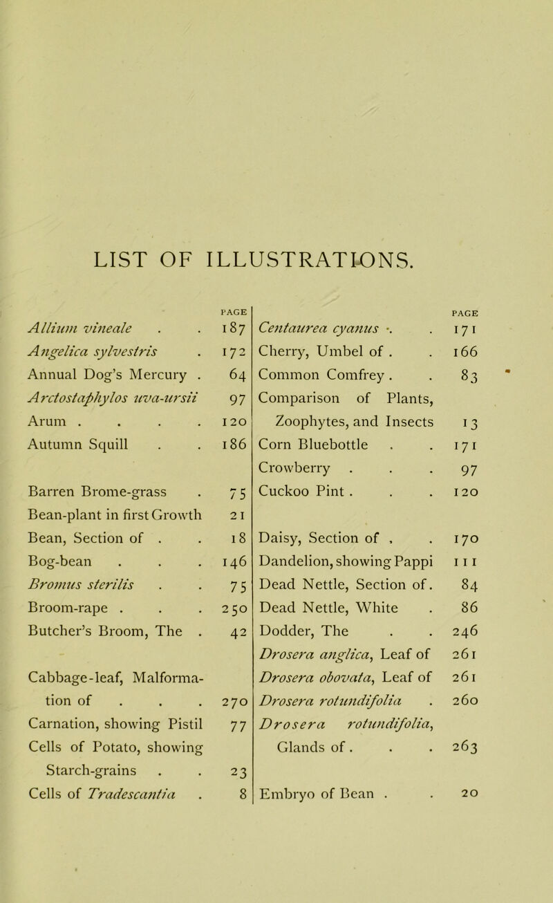 LIST OF ILLUSTRATI-ONS. Alliiini vineale Angelica sylvesiris Annual Dog’s Mercury . Arctosla^hylos uva-ursii Arum .... Autumn Squill Barren Brome-grass Bean-plant in first Growth Bean, Section of . Bog-bean Bromus sterilis Broom-rape . Butcher’s Broom, The . Cabbage-leaf, Malforma- tion of . . . Carnation, showing Pistil Cells of Potato, showing Starch-grains Cells of Tradescanlia Centaurea cyaniis Cherry, Umbel of . Common Comfrey . Comparison of Plants, Zoophytes, and Insects Corn Bluebottle Crowberry Cuckoo Pint . Daisy, Section of , Dandelion, showing Pappi Dead Nettle, Section of. Dead Nettle, White Dodder, The Drosera anglica, Leaf of Drosera obovata^ Leaf of Drosera roHmdifolia Drosera rohcndifoHa^ Glands of. Embryo of Bean . PAGE 187 172 64 97 120 186 75 21 18 146 75 250 42 270 77 23 8