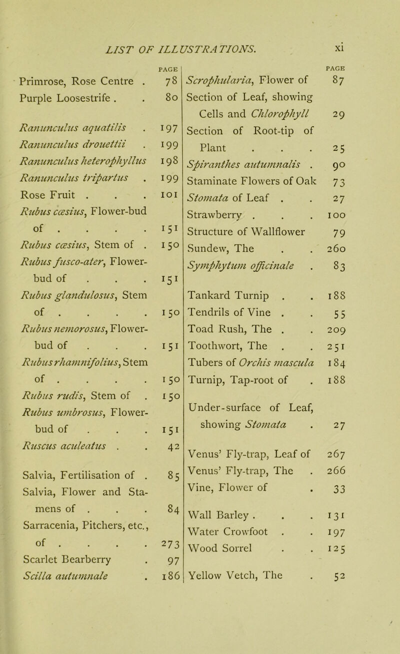 Primrose, Rose Centre . PAGE 78 Purple Loosestrife . 80 Ranimculus aquatilis 197 Raniaiculus drouettii 199 Ra7iunculiis heterophyllus 198 Ratiimcidtcs tripartiis 199 Rose Fruit . lOI Rubus ccesiiis^ Flower-bud of . 151 Rubus ccESius, Stem of . 150 Rubus fusco-ater, Flower- bud of . . . 151 Rubus glandidosus^ Stem of . 150 Rubus ?ie??iorosus^ Flower- bud of . . , 151 Riibusrhainnifolius.^ Stem of . 150 Rubus rttdiSj Stem of 150 Rubus timbrosus., Flower- bud of . . , 151 Ruscus aculeattis . 42 Salvia, Fertilisation of . 85 Salvia, Flower and Sta- mens of . 84 Sarracenia, Pitchers, etc., of . 273 Scarlet Bearberry 97 Scdla aidiciwiale i86 Scrophidai'ia., Flower of PAGE 87 Section of Leaf, showing Cells and Chlorophyll 29 Section of Root-tip of Plant 25 Spira7ithes aidu77i7ialis . 90 Staminate Flowers of Oak 73 Sto77iata of Leaf . 27 Strawberry . 100 Structure of Wallflower 79 Sundew, The 260 Sy77iphytu77i officmale 83 Tankard Turnip 188 Tendrils of Vine . 55 Toad Rush, The . 209 Toothwort, The 251 Tubers of Orchis 77iascida 184 Turnip, Tap-root of 188 Under-surface of Leaf, showing Sto77iata 27 Venus’ Fly-trap, Leaf of 267 Venus’ Fly-trap, The 266 Vine, Flower of 33 Wall Barley . i3i Water Crowfoot 197 Wood Sorrel 125 Yellow Vetch, The 52