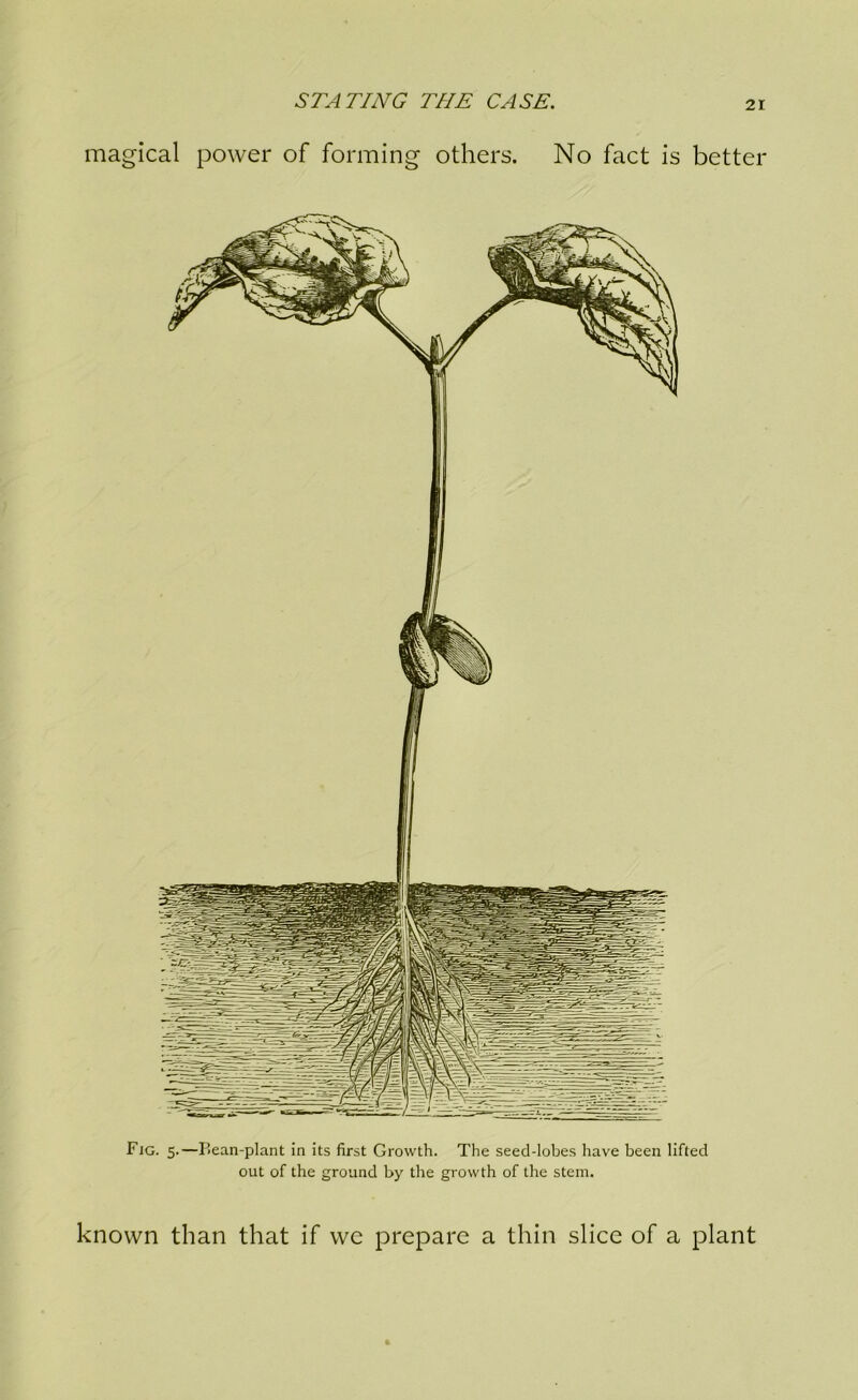 magical power of forming others. No fact is better Fig. 5.—I’ean-plant in its first Growth. The seed-lobes have been lifted out of the ground by the growth of the stem. known than that if we prepare a thin slice of a plant