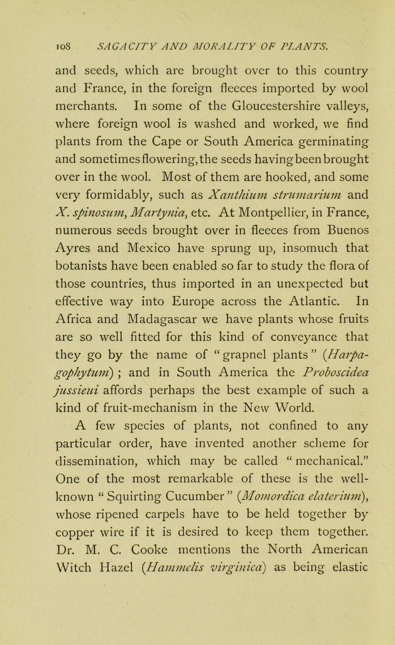 and seeds, which are brought over to this country and France, in the foreign fleeces imported by wool merchants. In some of the Gloucestershire valleys, where foreign wool is washed and worked, we find plants from the Cape or South America germinating and sometimes flowering, the seeds havingbeen brought over in the wool. Most of them are hooked, and some very formidably, such as Xanthium strummdum and X. spinosuirLy Martynia^ etc. At Montpellier, in France, numerous seeds brought over in fleeces from Buenos Ayres and Mexico have sprung up, insomuch that botanists have been enabled so far to study the flora of those countries, thus imported in an unexpected but effective way into Europe across the Atlantic. In Africa and Madagascar we have plants whose fruits are so well fitted for this kind of conveyance that they go by the name of “ grapnel plants ” {Harpa- gophytuni) ; and in South America the Pi'oboscidea Jussieui affords perhaps the best example of such a kind of fruit-mechanism in the New World. A few species of plants, not confined to any particular order, have invented another scheme for dissemination, which may be called “ mechanical.” One of the most remarkable of these is the well- known “ Squirting Cucumber” {Jllomordica elaterium)^ whose ripened carpels have to be held together by copper wire if it is desired to keep them together. Dr. M. C. Cooke mentions the North American Witch Hazel {plainmclis virginicd) as being elastic