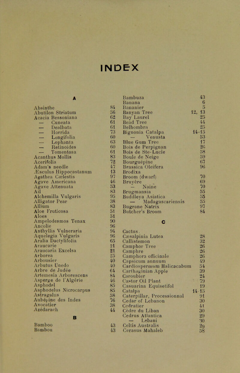 INDEX A Absinthe 84 Abutilon Striatum 56 Acacia Bessoniana 62 — Cuneata 61 — Dealbata 61 — Ilorrida 73 — Longifolia 60 — Lophanta 63 — Relinoides 60 — Tomentosa 61 Acanthus Mollis 83 Acerifolia 72 Adam’s needle 47 iEsculus Hippocastanum 13 Agathea Coelestis 97 Agave Americana 46 Agave Attenuata 53 Ail 83 Alchemilla Vulgaris 95 Alligator Pear 38 Allium 83 Aloe Fruticosa 51 Aloes 51 Ampelodesmos Tenax 90 Ancolie 96 Anthyllis Vulneraria 94 Aquelegia Vulgaris 96 Aralia Dactylifolia 65 Araucarie 21 Araucaria Excelsa 21 Arborea 25 Arbousier 40 Arbutus Unedo 40 Arbre de Judee 64 Artemesia Arborescens 84 Asperge de l’Algerie 46 Asphodpl 85 Asphodelus Nicrocarpus 85 Astragalus 58 Aubepine des Indes 76 Avocatier 38 Azedarach 44 B Bamboo 43 Bambou 43 Bambuza 43 Banana 6 Bananier 5 Banyan Tree 12, 13 Bay” Laurel 25 Bead Tree 44 Belhombra 25 Bignonia Catalpa 14-15 — Venusta 53 Blue Gum Tree 17 Bois de Perpignan 26 Bois de Ste-Lucie 58 Boule de Neige 59 Bourguepine 67 Brassica Oleifera Brodixa 96 Broom (dwarf) 70 Bruyere 69 — Naine 70 Brugmansia 55 Buddleya Asiatica 55 — Madagascariensis 55 Bugrane Natrix 97 Butcher’s Broom C 84 Cactus. Caesalpinia Lutea 28 Callistemon 32 Camphor Tree 26 Camphre 26 Camphora ollicinale 26 Capsicum annuum 49 Cardiospermum Halicacabum 54 Carthaginian Apple 39 Caroubier 24 Castor Oil Plant 79 Casuarina Equiselifol 19 Catalpa 14 15 Caterpillar, Processionnal Cedar of Lebanon 91 30 Cedratier 41 Cedre du Liban 30 Cedrus Atlantica 29 — Lcbani 30 Celtis Australis 29 Cerasus Mahaleb 58