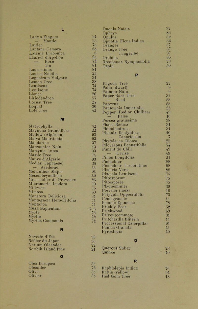 L Lady’s Fingers 94 — Mantle 95 Lailier 75 Lantana Camara 68 Latania Borbonica 6 Laurier d’ApnlIon 25 — Rose 72 - Tin 81 Laurestinus 81 Laurus Nobilis 25 Leguslrum Vulgare 31 Lemon Tree 38 Lentiscus 74 Lenlisque 74 Lionce 26 Liriodendron 57 Locust Tree 24 Loquat 36 Lote Tree 42 M Macrophylla 72 Magnolia Grandillora 22 Mallow (Algerian) 93 Malva Mauritania 93 Mandarine 37 Marronnier Nain 13 Martynia Lutea 33 Mastic Tree 74 Mauve d’Alg'erie 93 Medlar (Japanese) 36 — Azederac 44 Melianlhus Major 94 Mesembryanthem 49 Micocoulier de Provence 26 Micronieria Inodora 70 Milkwort 75 Mimosa 60 Monstera Deliciosa 34 Montagncea Heracleifolia 71 Montanoa 71 Musa Sapientum 5. 6 Myrte 72 Myrtle 72 Myrtus Communis 72 N Navette d’Ete 96 Nefiier du Japon 36 Nerium Oleander 72 Norfolk Island Pine 21 O Olea Europoea 35 Oleander 72 Olive 35 Olivier 35 Ononis Natrix 97 Ophrys 86 Opulus 59 Opuntia Ficus Indica 52 Oranger 37 Orange Tree 37 — Tangerine 37 Orchids 86 Oreopanax Nymphcefolia 73 Orpin 50 P Pagoda Tree 27 Palm (dwarf) 9 Palmier Nain 9 Paper Bark Tree 32 — Heed 88 Papyrus 88 Paulownia Imperialis 22 Pepper (Red or Chillies) 49 — False 16 Persea gralissima 38 Phaca Boetica 31 Philodendron 34 Phoenix Dactylifera 10 — Canariensis 7 Phytolacca Diol'ea 25 Pilocarpus Pennatifolia 74 Piment du Chili 49 — Cerise 49 Pinus Longifolia 21 Pistachier 88 Pistachier Terebinthus 98 Pistacia Vera 88 Pistacia Lentiscus 74 Pittosporum 75 Pittosporee 75 Plaqueminier 39 Poivrier (faux) 16 Polygala Oppositilolia 75 Pomegranate 41 Pomme Epineuse 78 Prickly Pear 52 Prickwood 69 Privet (common) 31 Pritchardia filiferia 11 Processional Caterpillar 91 Punica Granata 41 Pyrostegia 49 0 Quercus Suber 23 Quince 40 R Raphiolepis Indica 76 Rattle (yellow) 94 Bed Gum Tree 18