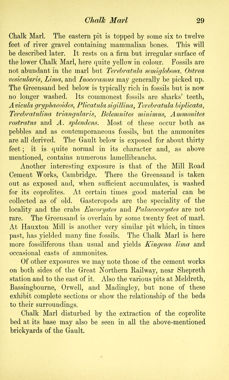 Chalk Marl. The eastern pit is topped by some six to twelve feet of river gravel containing mammalian bones. This will be described later. It rests on a firm but irregular surface of the lower Chalk Marl, here quite yellow in colour. Fossils are not abundant in the marl but Terebi'atula semiglohosa, Ostrea vesicularis, Lima, and Inoceramus may generally be picked up. The Greensand bed below is typically ricli in fossils but is now no longer washed. Its commonest fossils are sharks’ teeth, Avicula gryphaeoides, PUcatula sigillina, Terebratida biplicata, Terebratulma triangularis, Belemniies minimus. Ammonites rostratus and A. splendens. Most of these occur both as pebbles and as contemporaneous fossils, but the ammonites are all derived. The Gault below is exposed for about thirty feet; it is quite normal in its character and, as above mentioned, contains numerous lamellibrancbs. Another interesting exposure is that of the Mill Road Cement Works, Cambridge. There the Greensand is taken out as exposed and, when sufficient accumulates, is washed for its coprolites. At certain times good material can be collected as of old. Gasteropods are the speciality of the locality and the crabs Eucorystes and Palaeocorystes are not rare. The Greensand is overlain by some twenty feet of marl. At Hauxton Mill is another very similar pit which, in times past, has yielded many fine fossils. The Chalk Marl is here more fossiliferous than usual and yields Kingena lima and occasional casts of ammonites. Of other exposures we may note those of the cement works on both sides of the Great Northern Railway, near Shepreth station and to the east of it. Also the various pits at Meldreth, Bassingbourne, Orwell, and Madingiey, but none of these exhibit complete sections or show the relationship of the beds to their surroundings. Chalk Marl disturbed by the extraction of the coprolite bed at its base may also be seen in all the above-mentioned brickyards of the Gault.