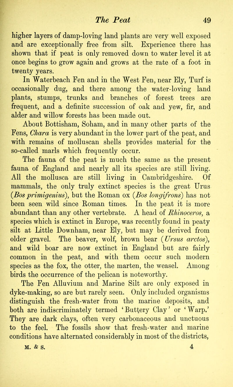 higher layers of damp-loving land plants are very well exposed and are exceptionally free from silt. Experience there has shown that if peat is only removed down to water level it at once begins to grow again and grows at the rate of a foot in twenty years. In Waterbeach Fen and in the West Fen, near Ely, Turf is occasionally dug, and there among the water-loving land plants, stumps, trunks and branches of forest trees are frequent, and a definite succession of oak and yew, fir, and alder and willow forests has been made out. About Bottisham, Soham, and in many other parts of the Fens, Chara is very abundant in the lower part of the peat, and with remains of molluscan shells provides material for the so-called marls which frequently occur. The fauna of the peat is much the same as the present fauna of England and nearly all its species are still living. All the mollusca are still living in Cambridgeshire. Of mammals, the only truly extinct species is the great Urus {Bos primigenius), but the Roman ox {Bos longifrons) has not been seen wild since Roman times. In the peat it is more abundant than any other vertebrate. A head of Rhinoceros, a species which is extinct in Europe, was recently found in peaty silt at Little Downham, near Ely, but may be derived from older gravel. The beaver, wolf, brown bear {Ursus arctos), and wild boar are now extinct in England but are fairly common in the peat, and with them occur such modern species as the fox, the otter, the marten, the weasel. Among birds the occurrence of the pelican is noteworthy. The Fen Alluvium and Marine Silt are only exposed in dyke-making, so are but rarely seen. Only included organisms distinguish the fresh-water from the marine deposits, and both are indiscriminately termed ‘Buttery Clay’ or ‘Warp.’ They are dark clays, often very carbonaceous and unctuous to the feel. The fossils show that fresh-water and marine conditions have alternated considerably in most of the districts, M. & S. 4