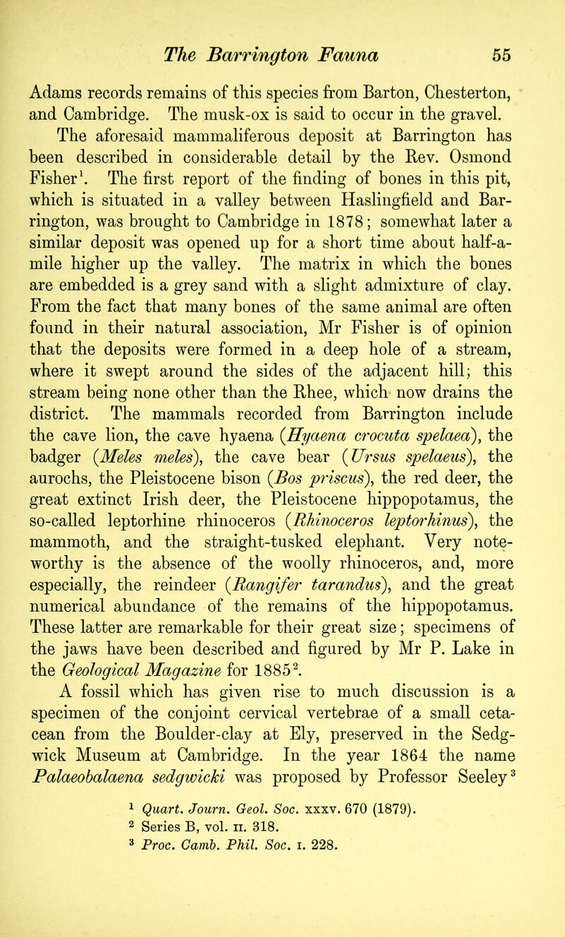 Adams records remains of this species from Barton, Chesterton, and Cambridge. The musk-ox is said to occur in the gravel. The aforesaid mammaliferous deposit at Barrington has been described in considerable detail by the Bev. Osmond Fisher \ The first report of the finding of bones in this pit, which is situated in a valley between Haslingfield and Bar- rington, w^as brought to Cambridge in 1878; somewhat later a similar deposit was opened up for a short time about half-a- mile higher up the valley. The matrix in which the bones are embedded is a grey sand with a slight admixture of clay. From the fact that many bones of the same animal are often found in their natural association, Mr Fisher is of opinion that the deposits were formed in a deep hole of a stream, where it swept around the sides of the adjacent hill; this stream being none other than the Bhee, which- now drains the district. The mammals recorded from Barrington include the cave lion, the cave hyaena {Hyaena crocuta spelaea), the badger {Meles meles), the cave bear {Ursus spelaeus), the aurochs, the Pleistocene bison {Bos p7'iscus), the red deer, the great extinct Irish deer, the Pleistocene hippopotamus, the so-called leptorhine rhinoceros {Rhinoceros leptoi'hinus), the mammoth, and the straight-tusked elephant. Very note- worthy is the absence of the woolly rhinoceros, and, more especially, the reindeer {Rangifer tarandus), and the great numerical abundance of the remains of the hippopotamus. These latter are remarkable for their great size; specimens of the jaws have been described and figured by Mr P. Lake in the Geological Magazine for 1885^. A fossil which has given rise to much discussion is a specimen of the conjoint cervical vertebrae of a small ceta- cean from the Boulder-clay at Ely, preserved in the Sedg- wick Museum at Cambridge. In the year 1864 the name Palaeobalaena sedgwicki was proposed by Professor Seeley® 1 Quart. Journ. Geol. Soc. xxxv. 670 (1879). 2 Series B, vol. ii. 318. ^ Proc. Camb. Phil. Soc. i. 228.